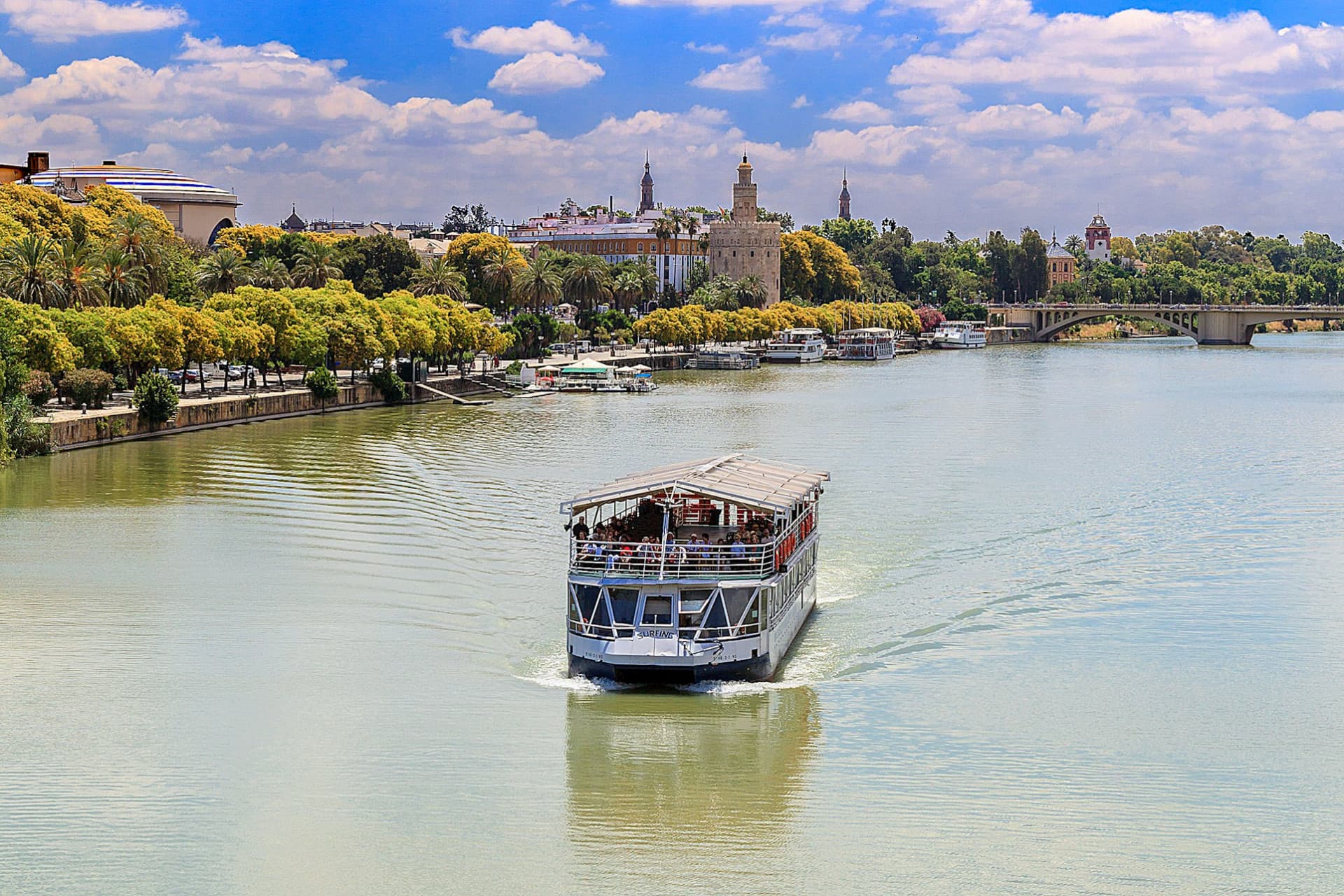 Sevilla: crucero turístico desde la Torre del Oro - imagen 3
