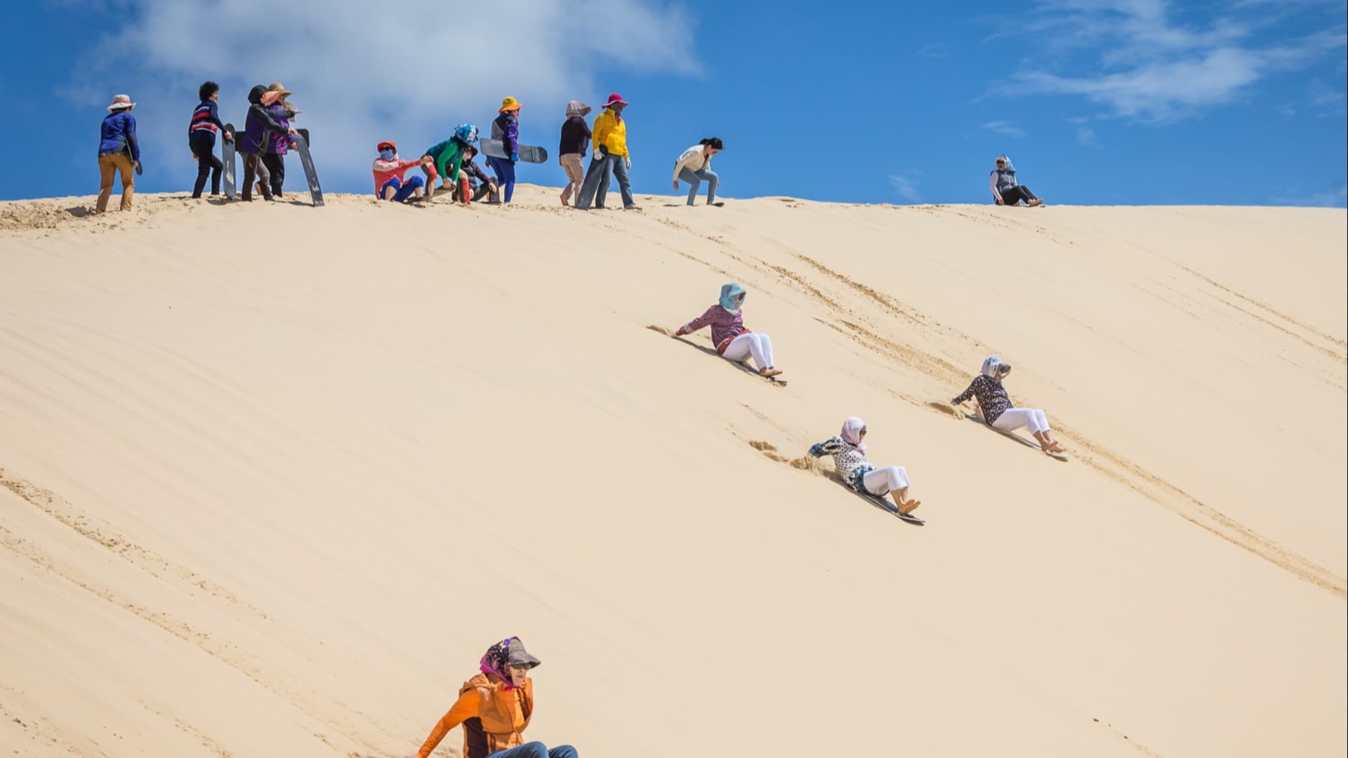 Port Stephens 4WD Sandboarding Experience - image 3
