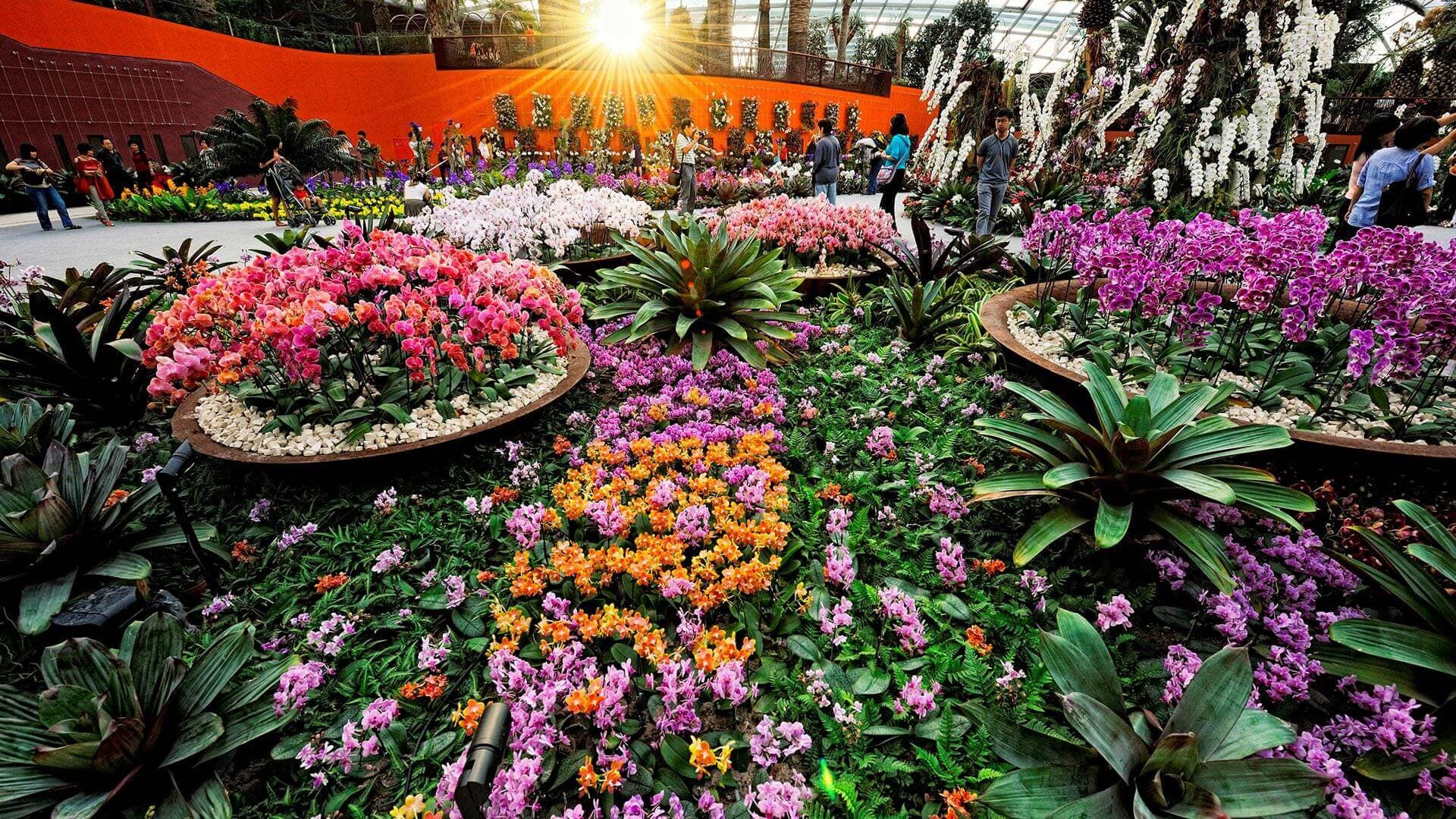 IMBA Theatre Ticket at Gardens by the Bay - image 7