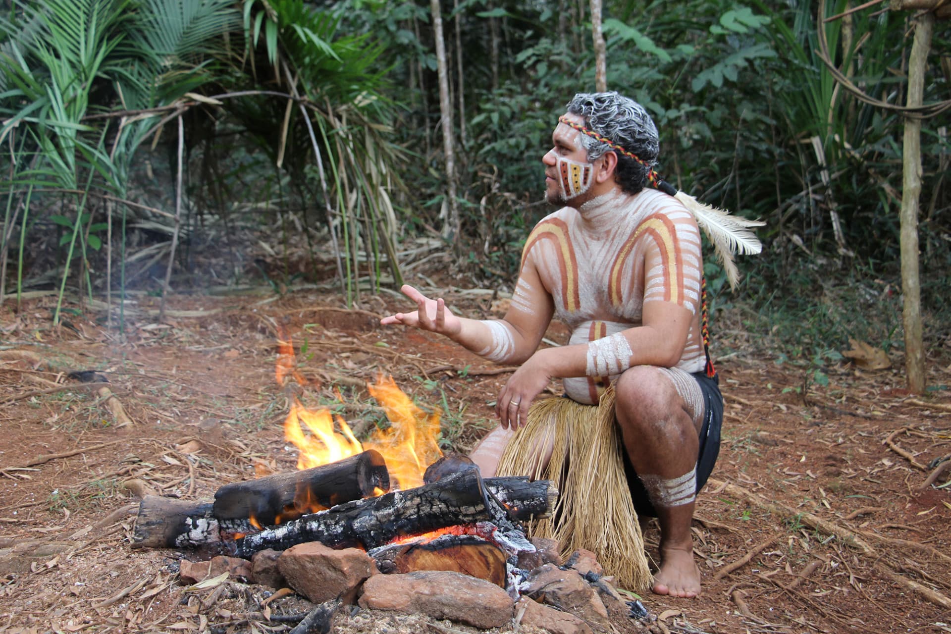 Kuranda Rainforestation Nature Park Full-Day Tour from Cairns - image 6