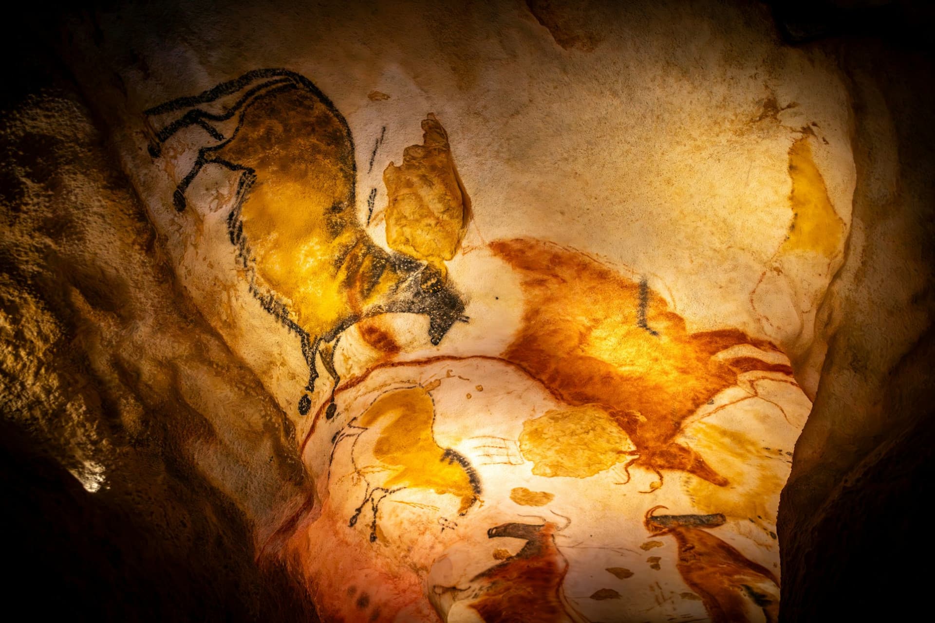 Lascaux IV : Admission + Guided tour - image 2