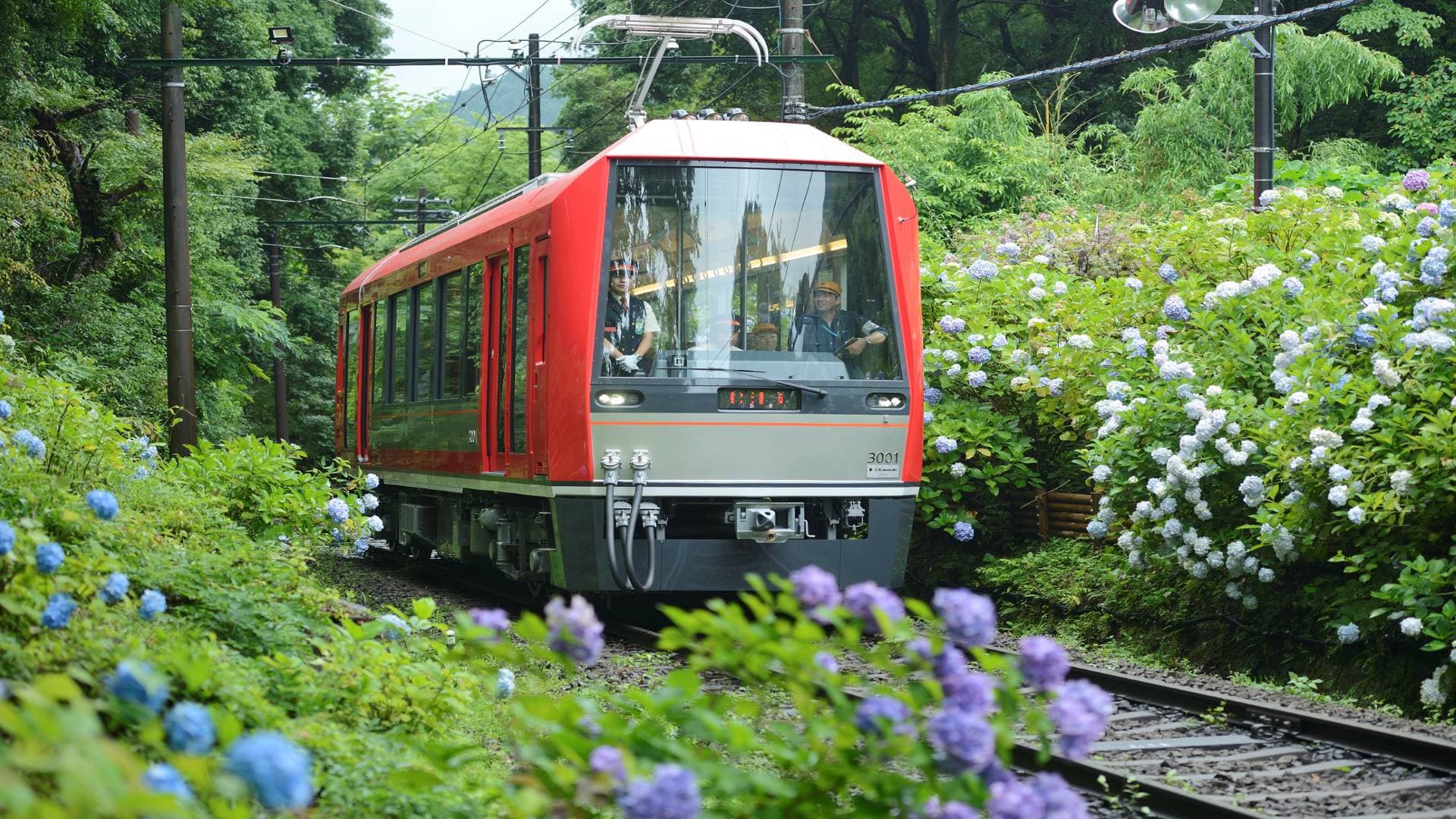 Hakone Freepass - main image