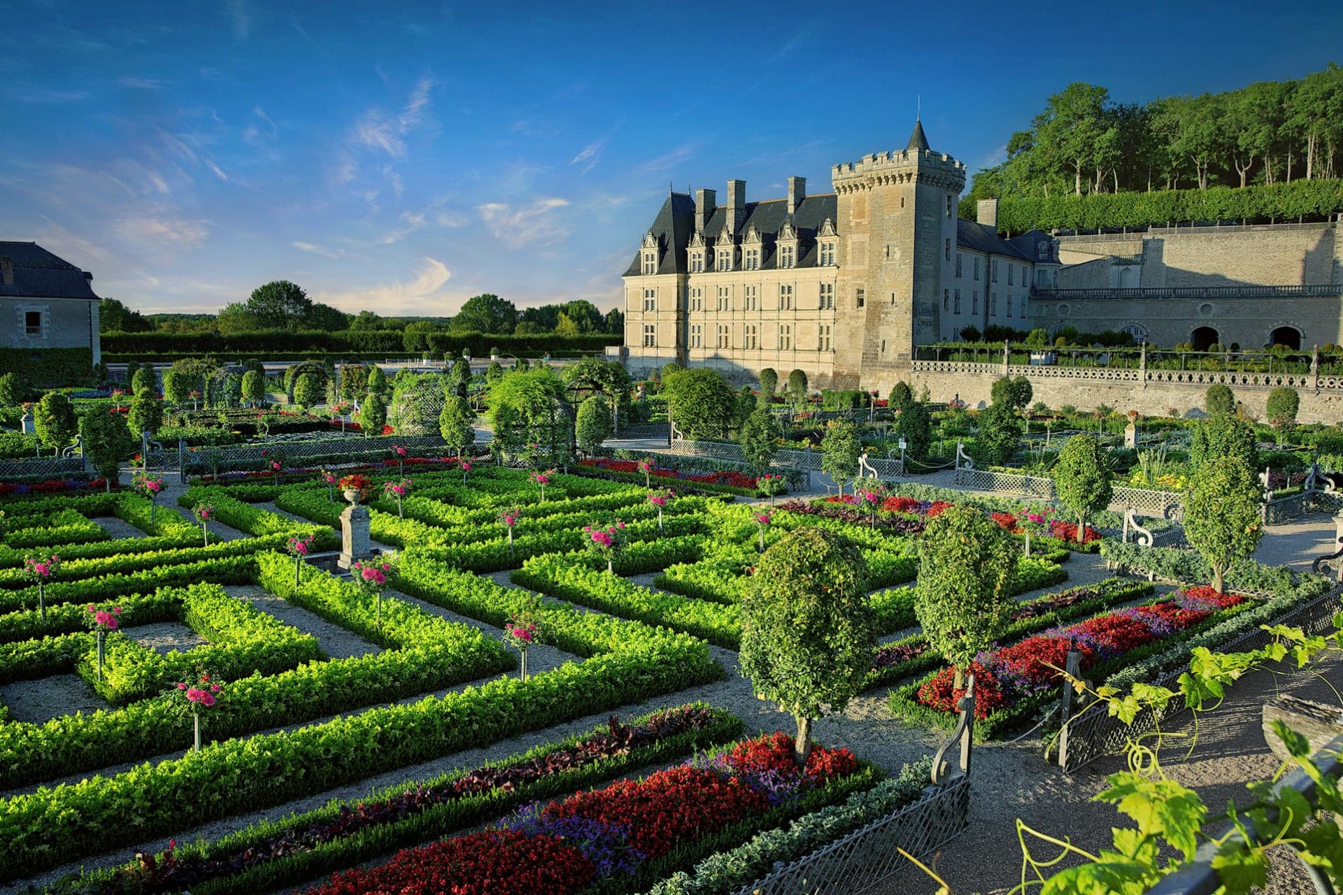 Château de Villandry Ticket - image 3