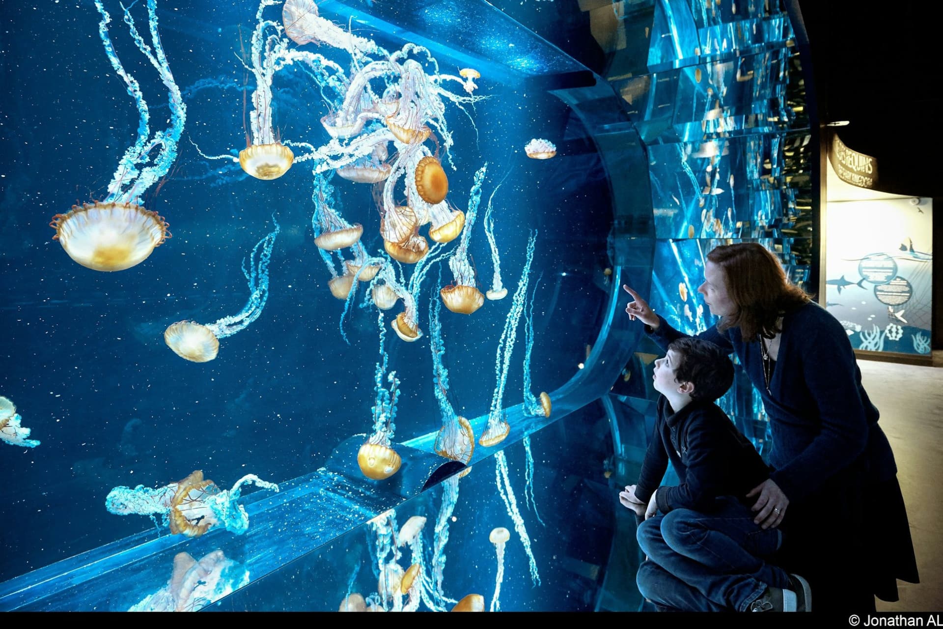 Nausicaa: Skip The Line Ticket - image 8