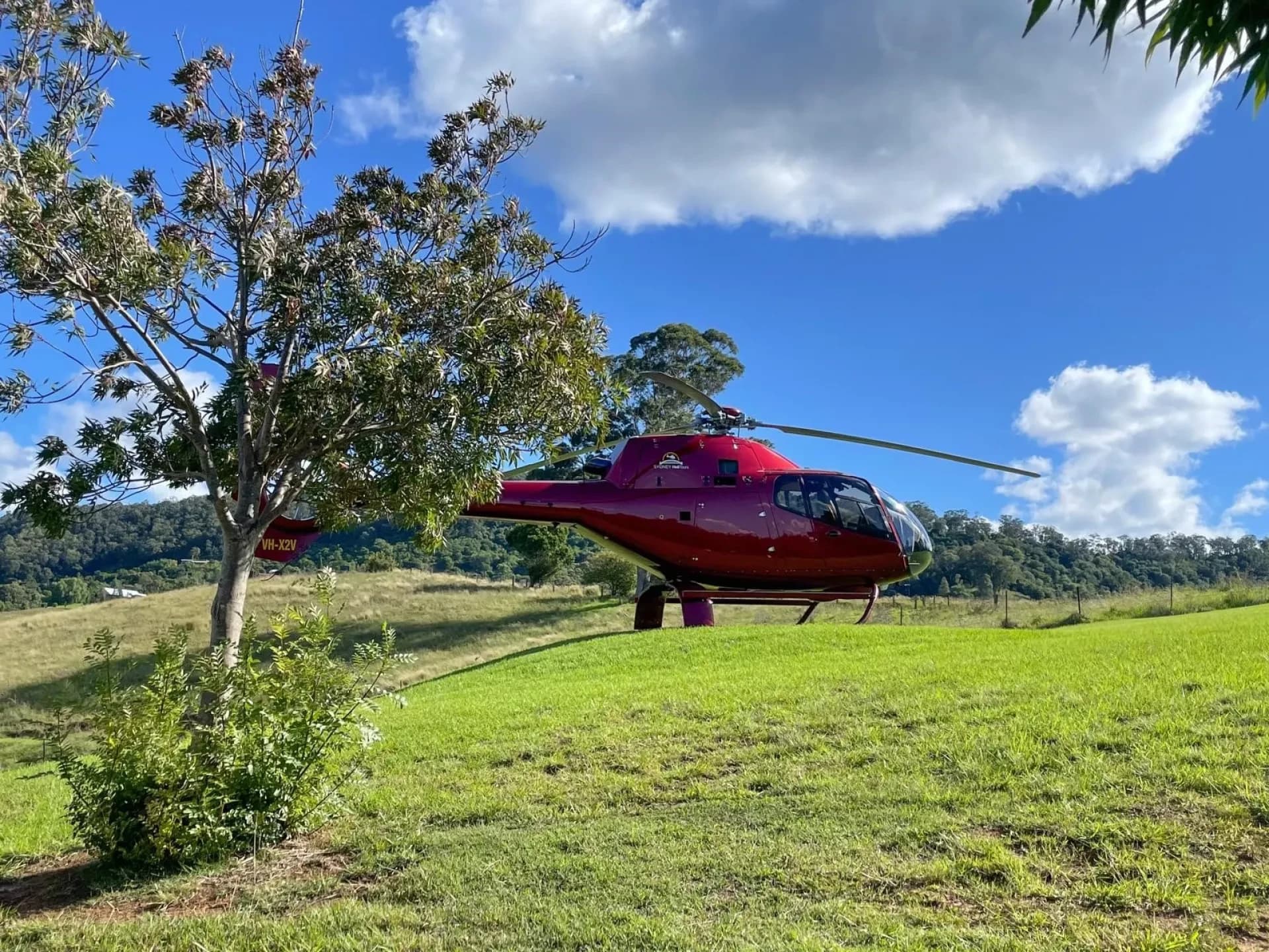 Hunter Valley Helicopter and Gourmet Lunch Tour from Sydney - main image