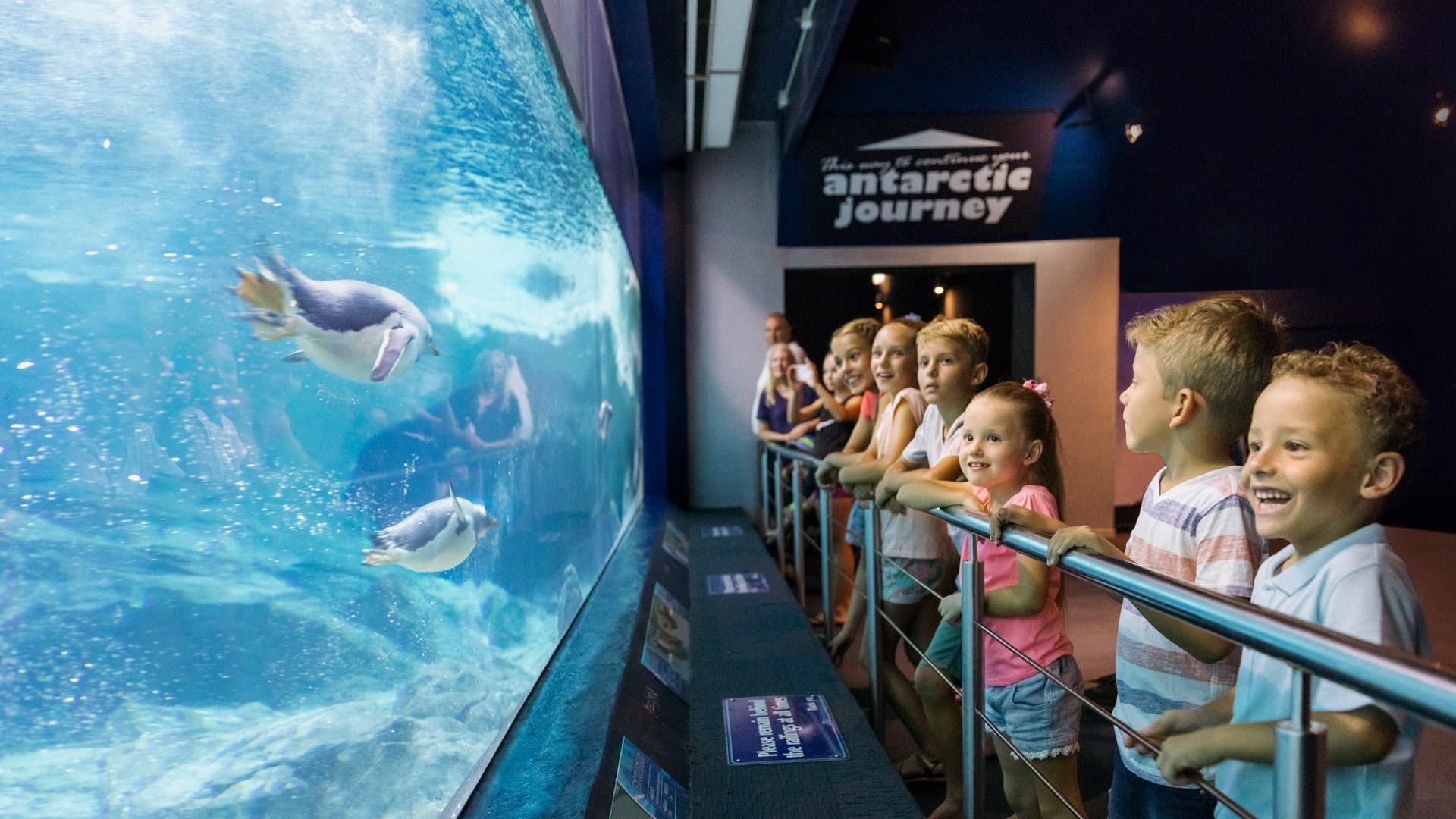 Sea World Gold Coast Ticket - image 10