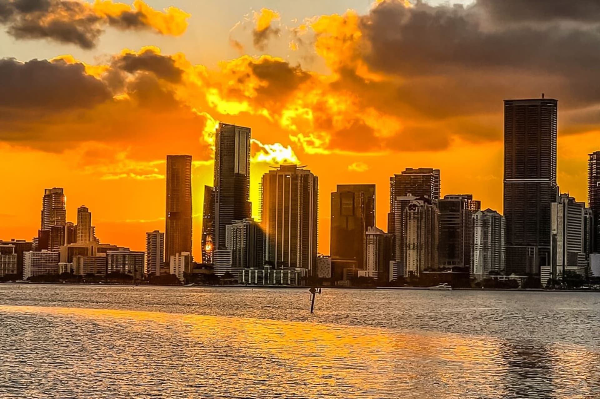 Miami Skyline Cruise of Millionaires’ Homes and Biscayne Bay - image 5