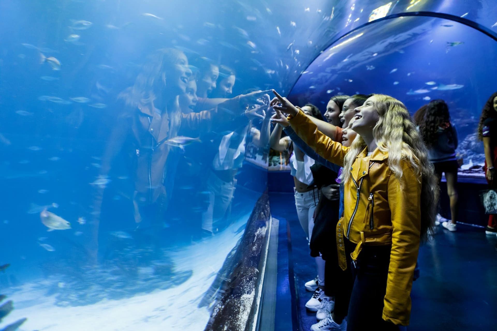 Atlantis Aquarium Madrid Ticket - main image