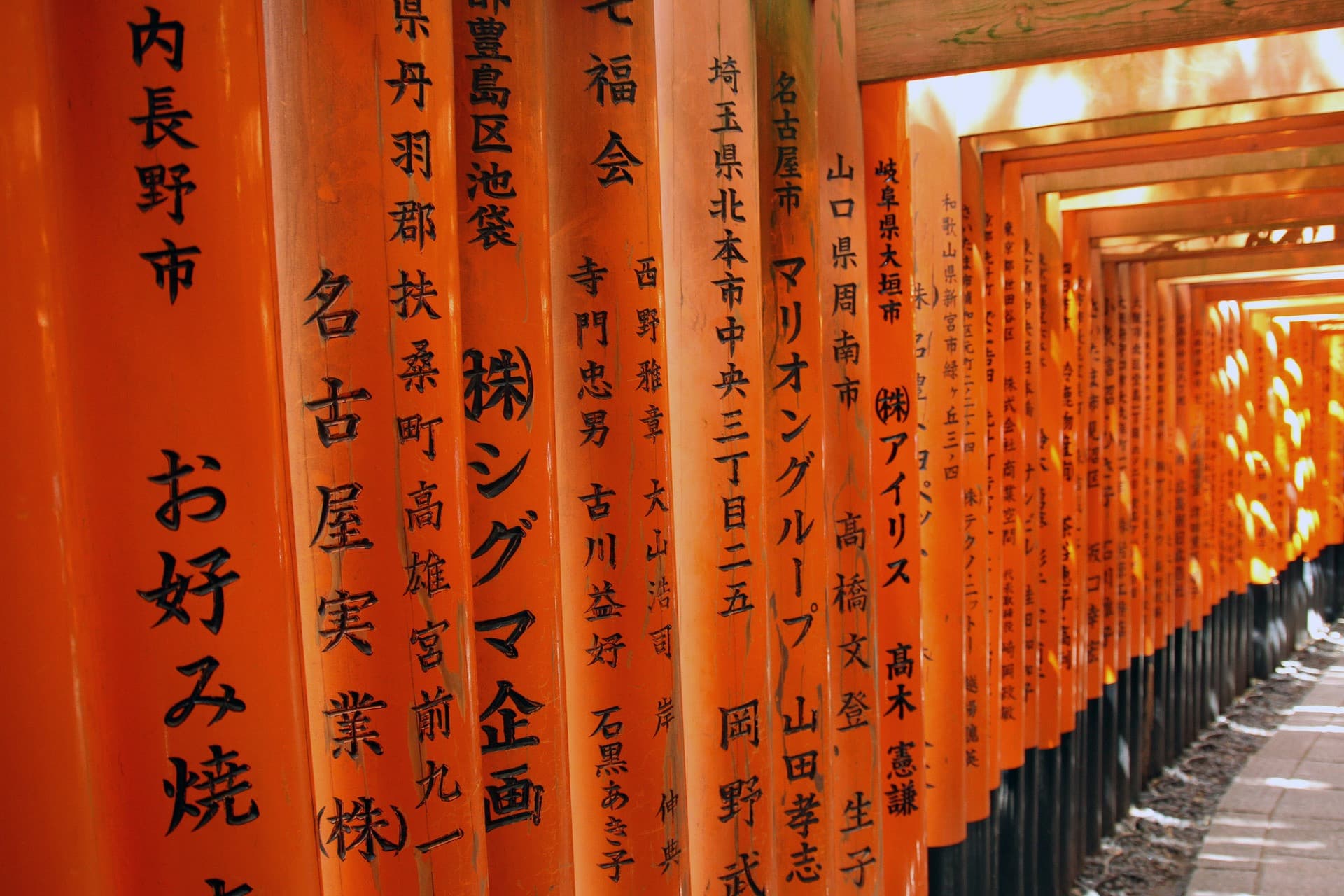 Kyoto-Osaka Sightseeing Pass - image 6