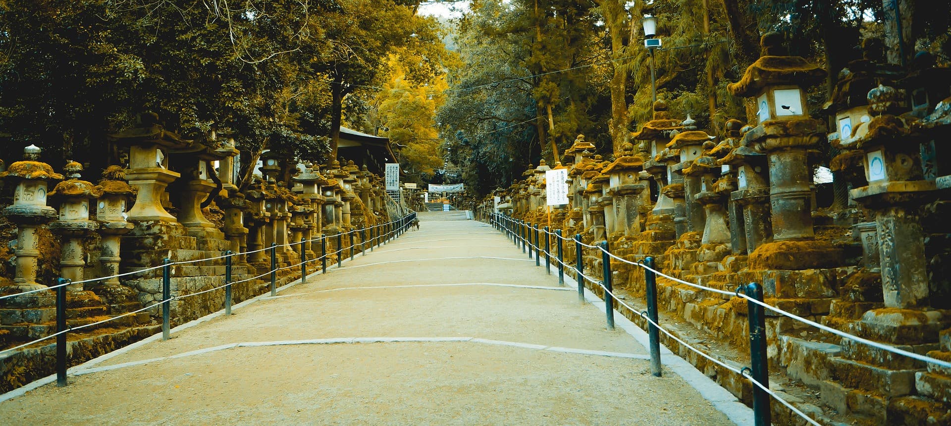 Nara Tour from Kyoto - imagen 5