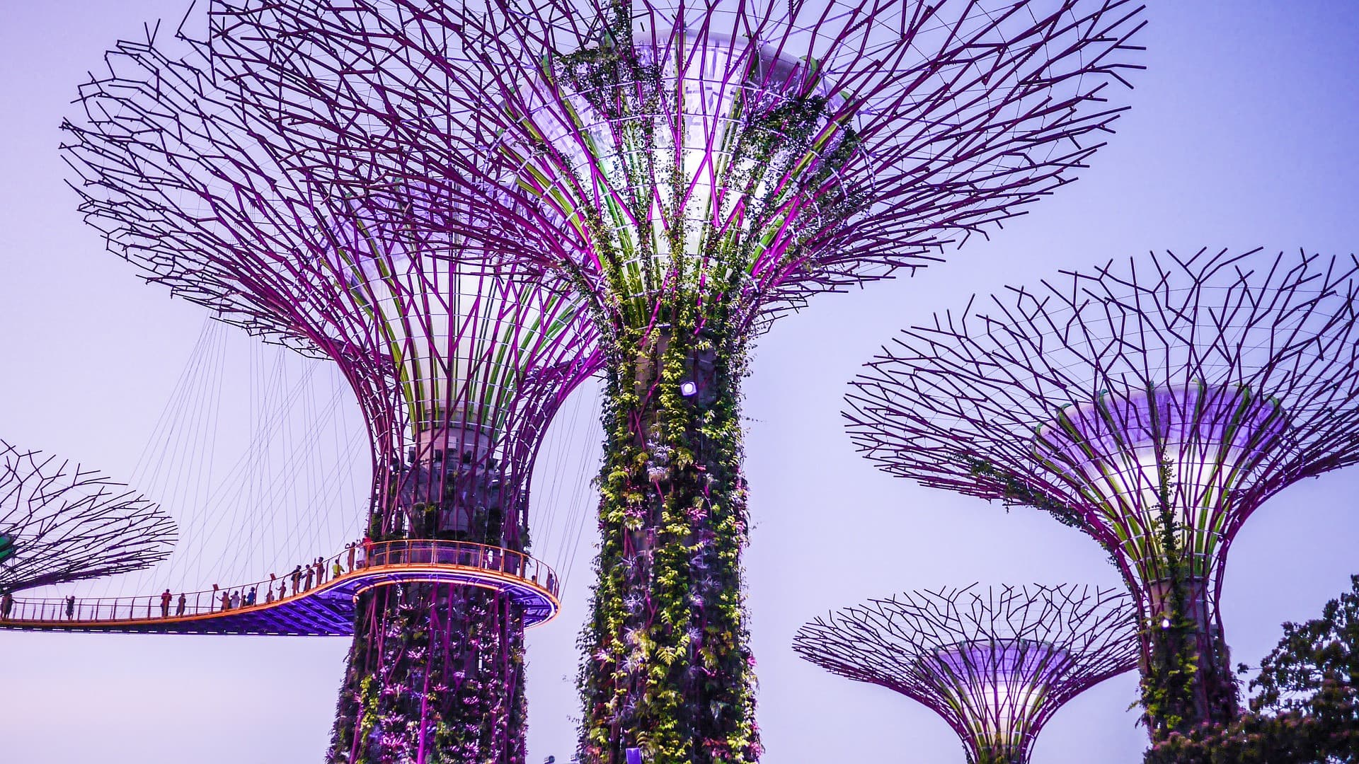COMBO: Singapore Cable Car + Gardens by the Bay Ticket - image 9