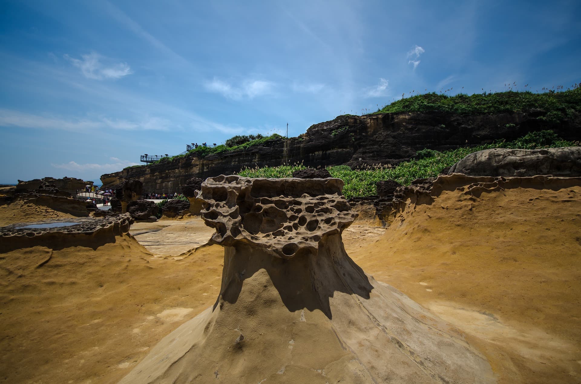 COMBO: Taipei 101 Observatory + Yehliu Geopark - image 6