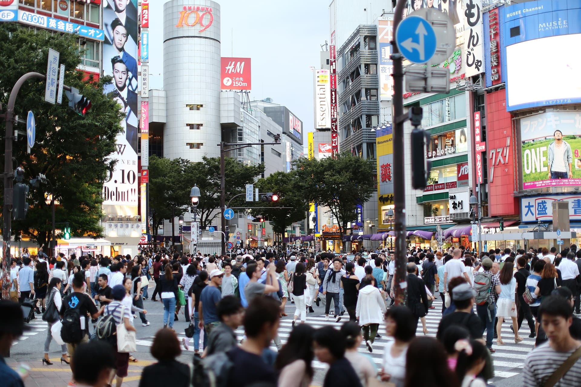 Tokyo Family Food Tour in Asakusa and Sensoji - image 13