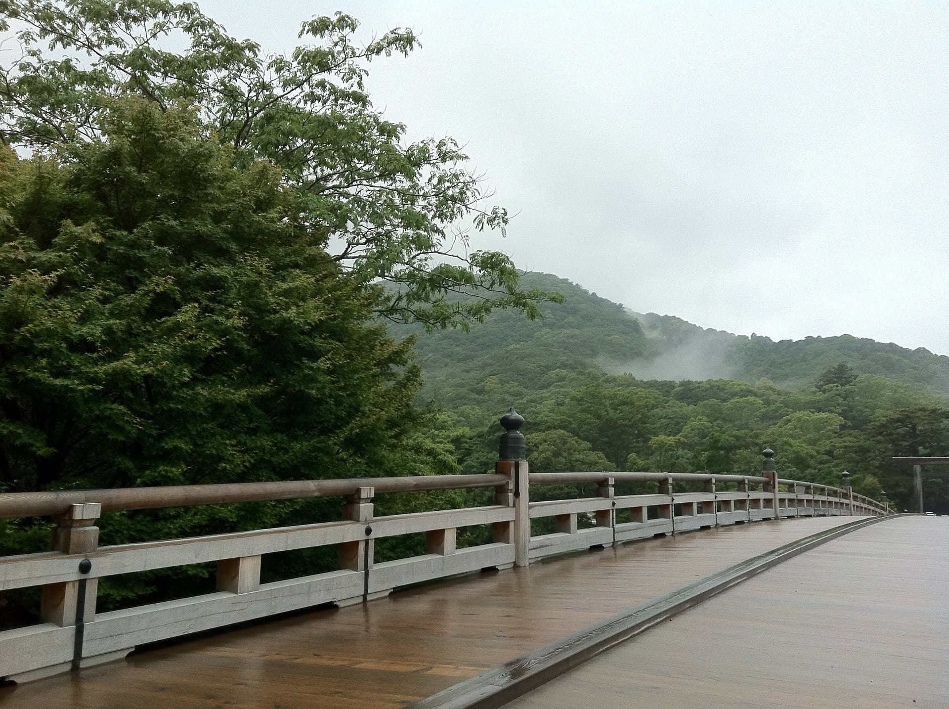다도체험+우지 산책 투어 (교토) - 이미지 4