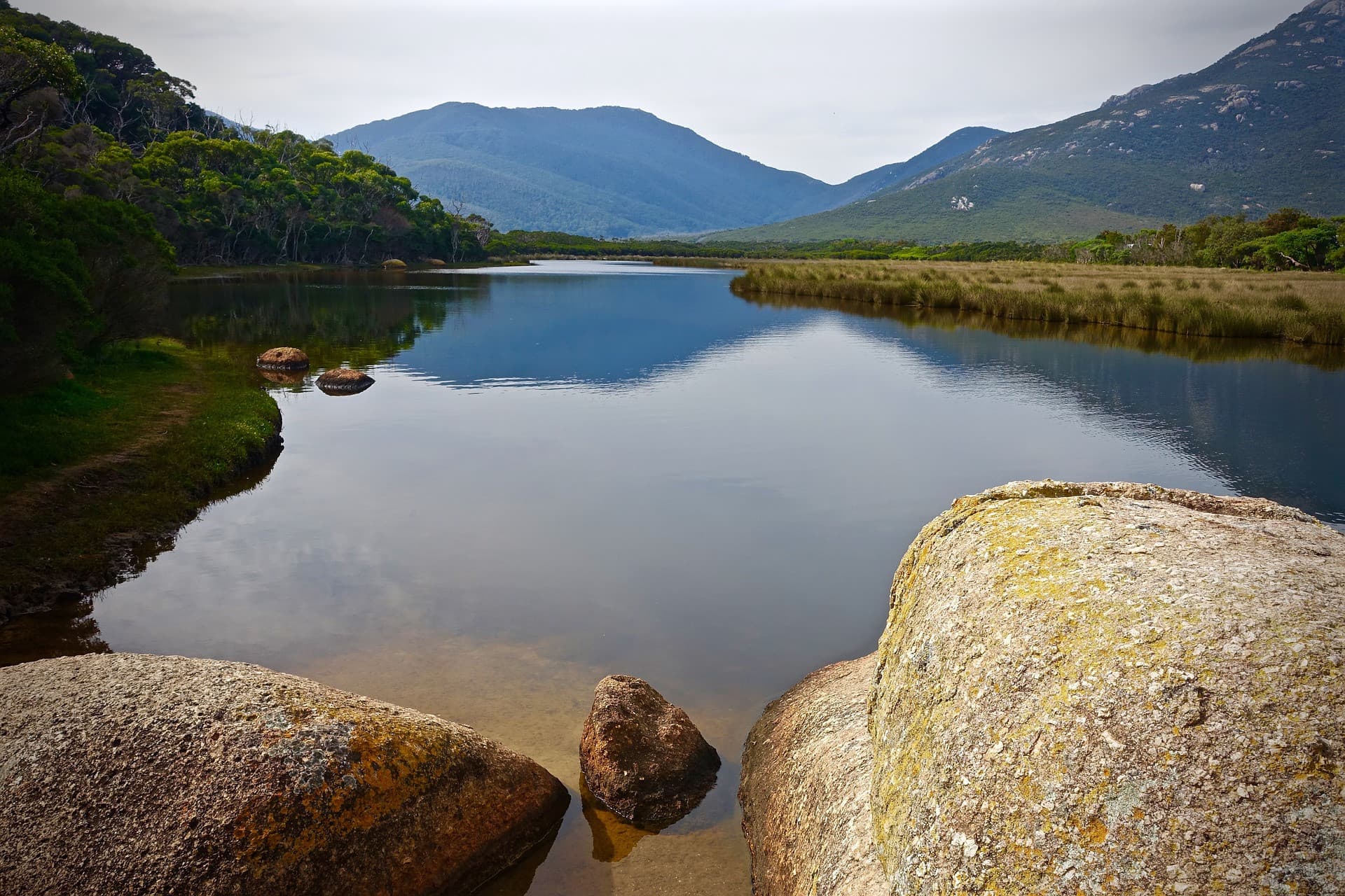 Wilsons Promontory National Park Tour from Melbourne - image 7