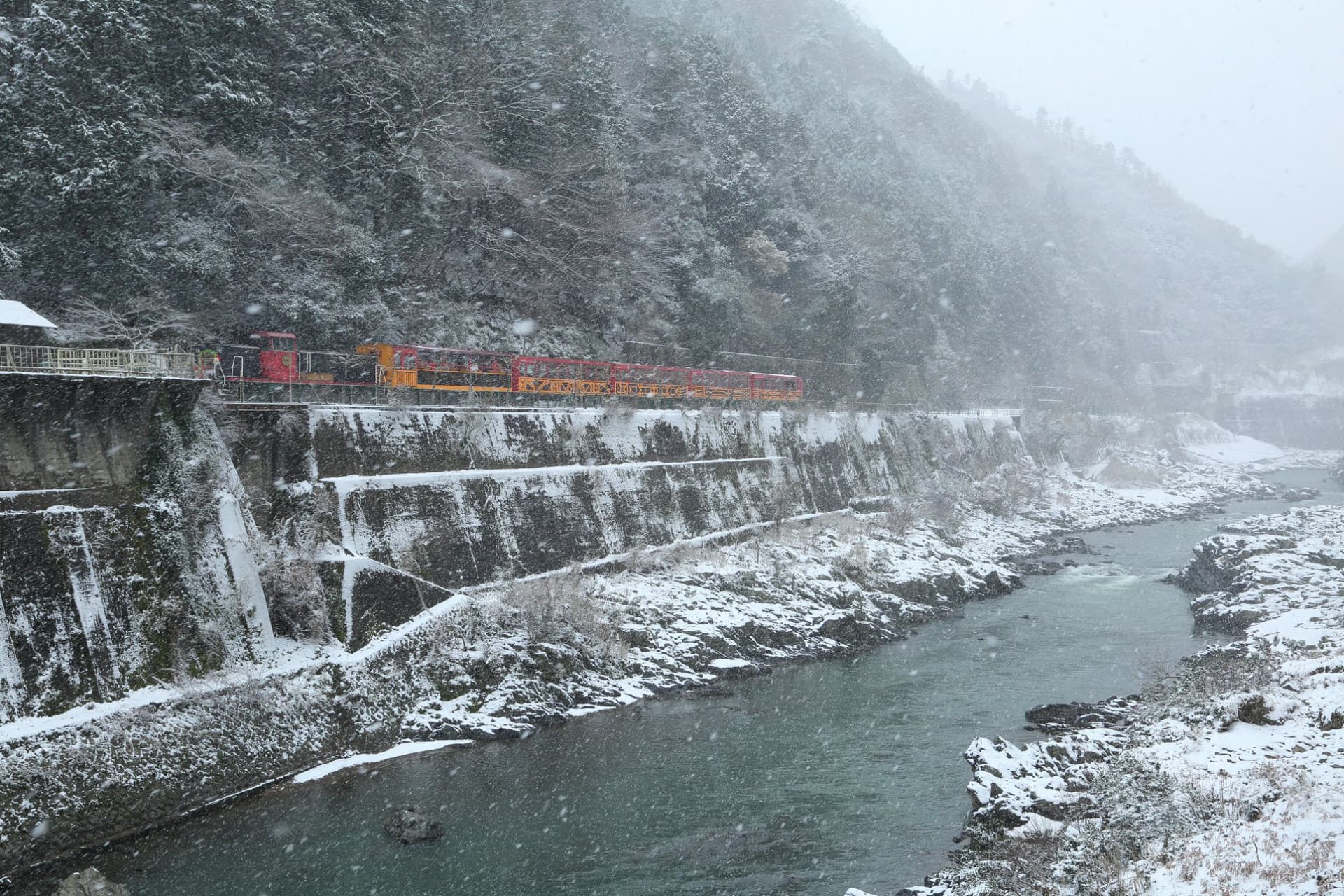 Sagano Romantic Train - image 25
