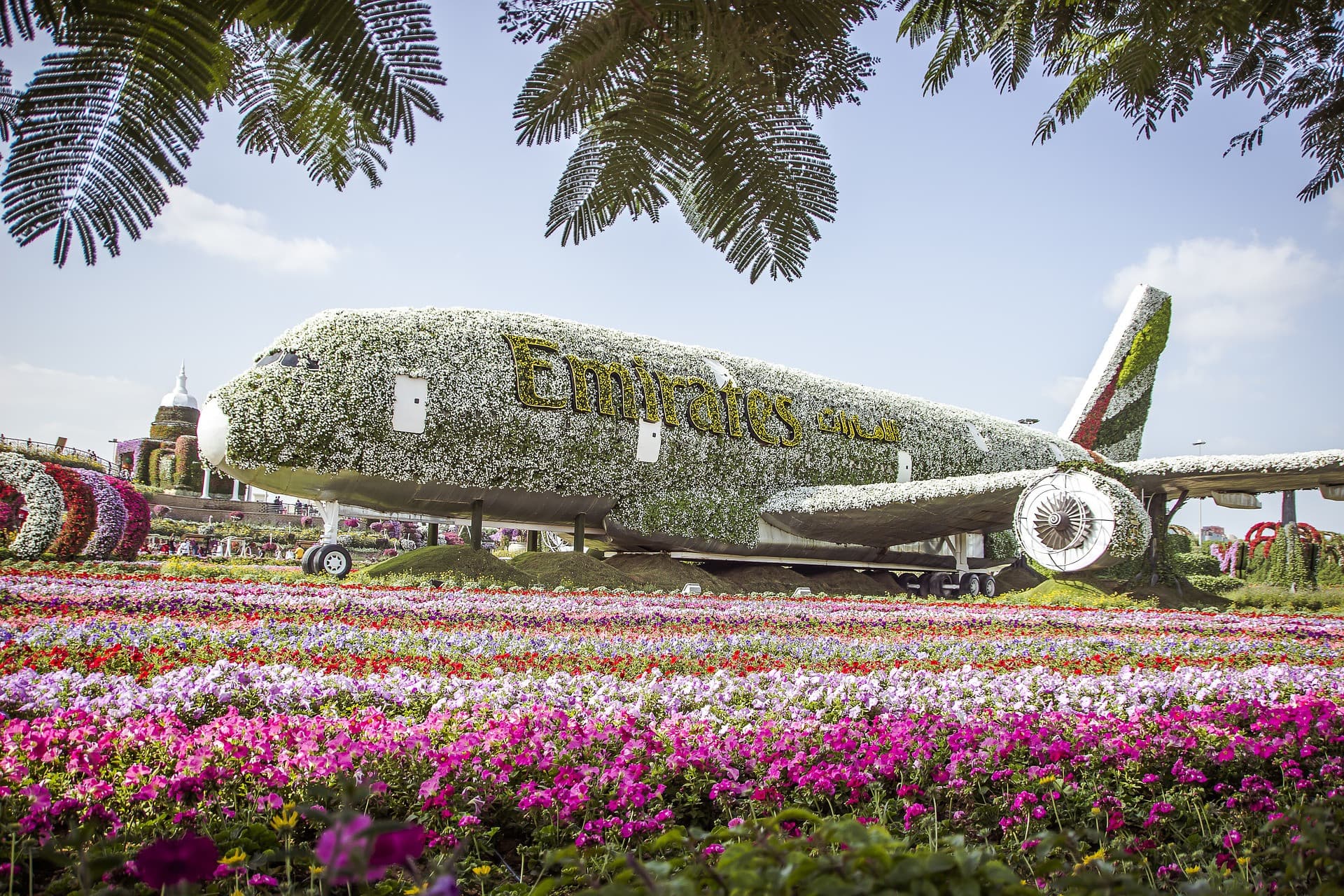 Dubai Miracle Garden Ticket - image 3