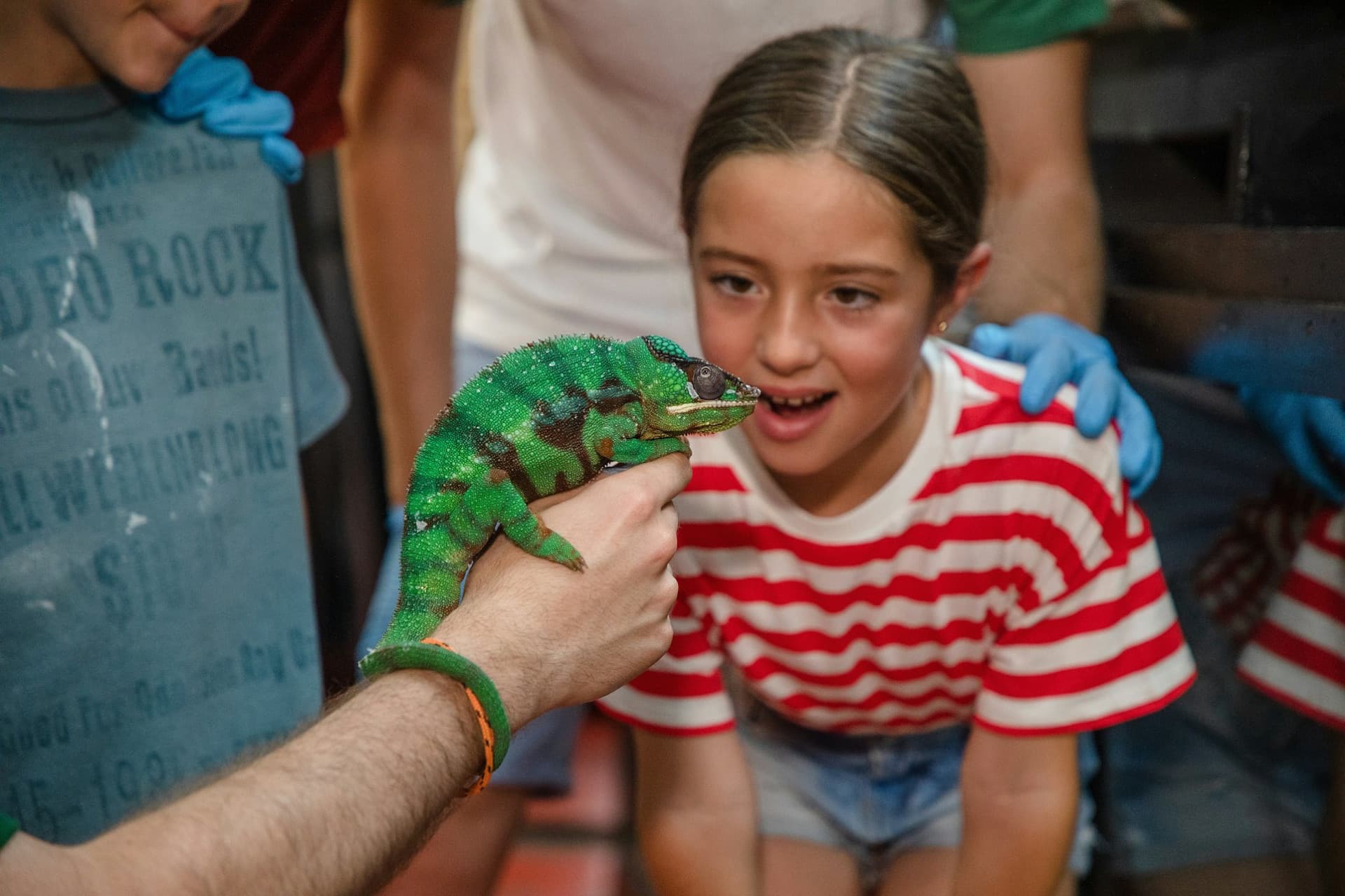 Faunia Nature Park Ticket - image 8