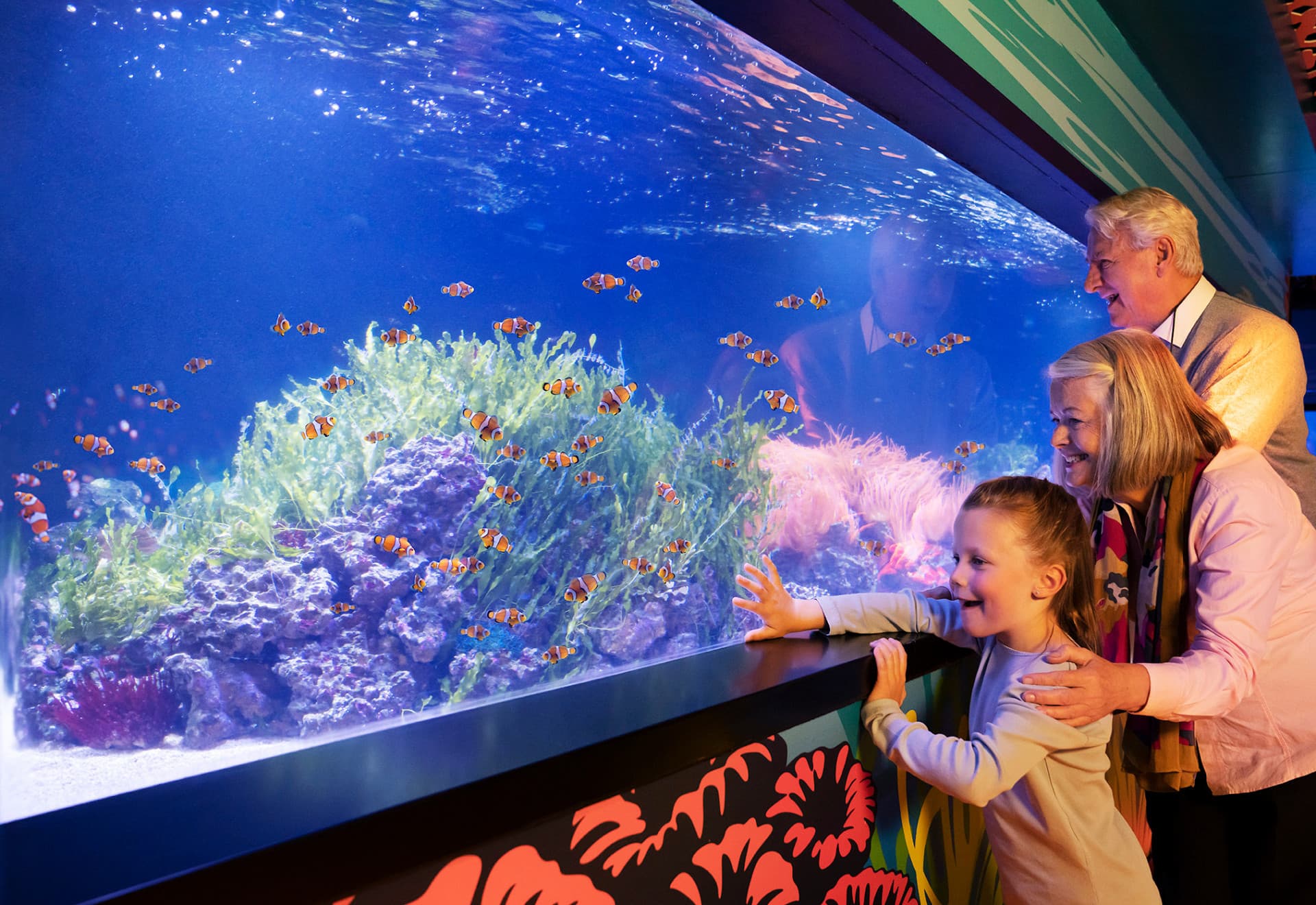 COMBO: Madame Tussauds London + SEA LIFE London Aquarium Ticket - image 12