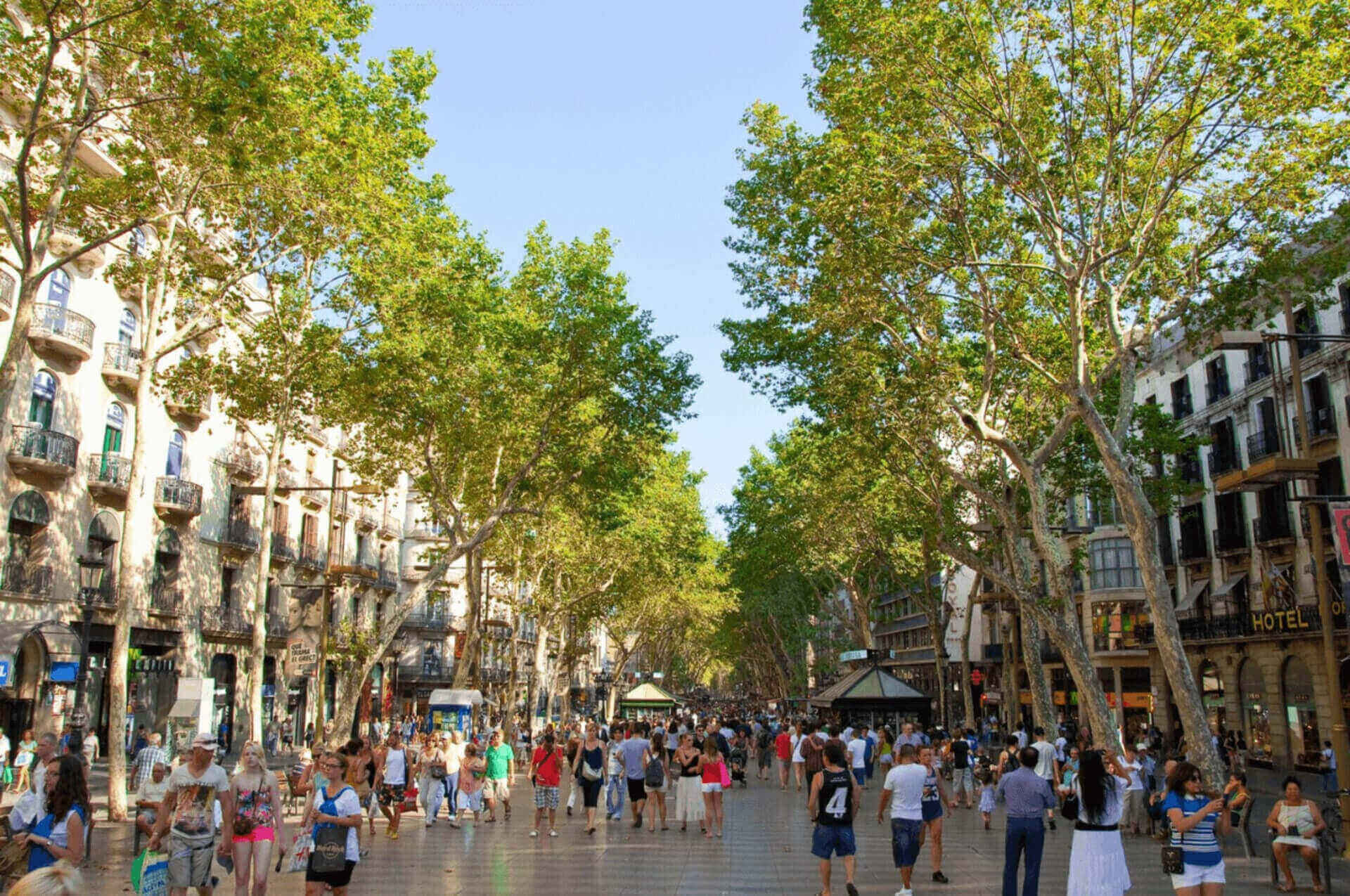 Barcelona Self-Guided Audio Tour: Sagrada Familia, Park Guell, Casa Batllo - image 4