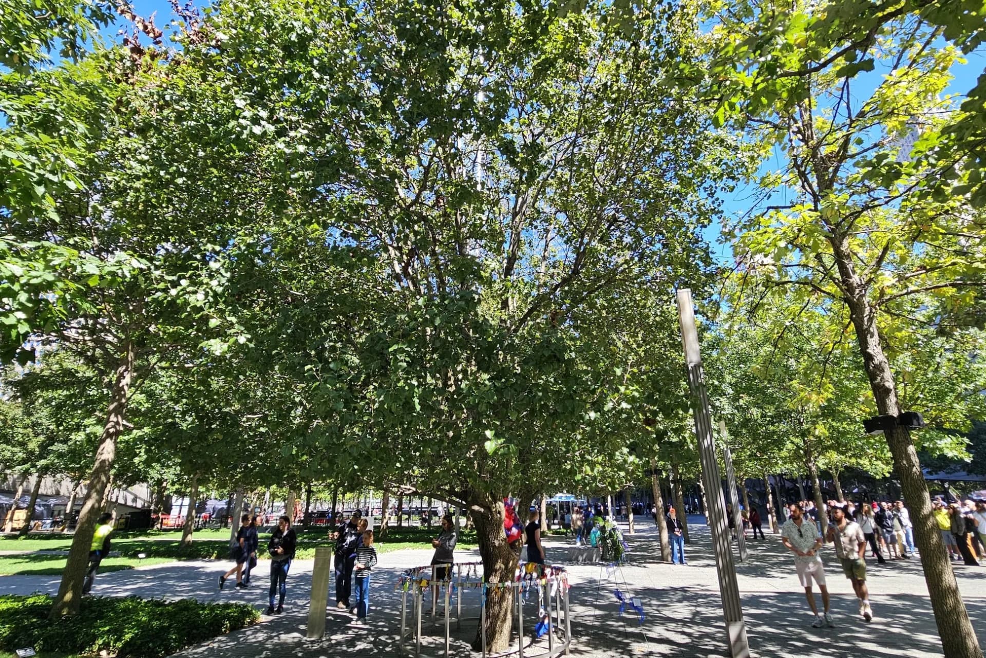 Tour a pie por el 9/11 Memorial y Wall Street + entrada opcional al 9/11 Museum - imagen 13