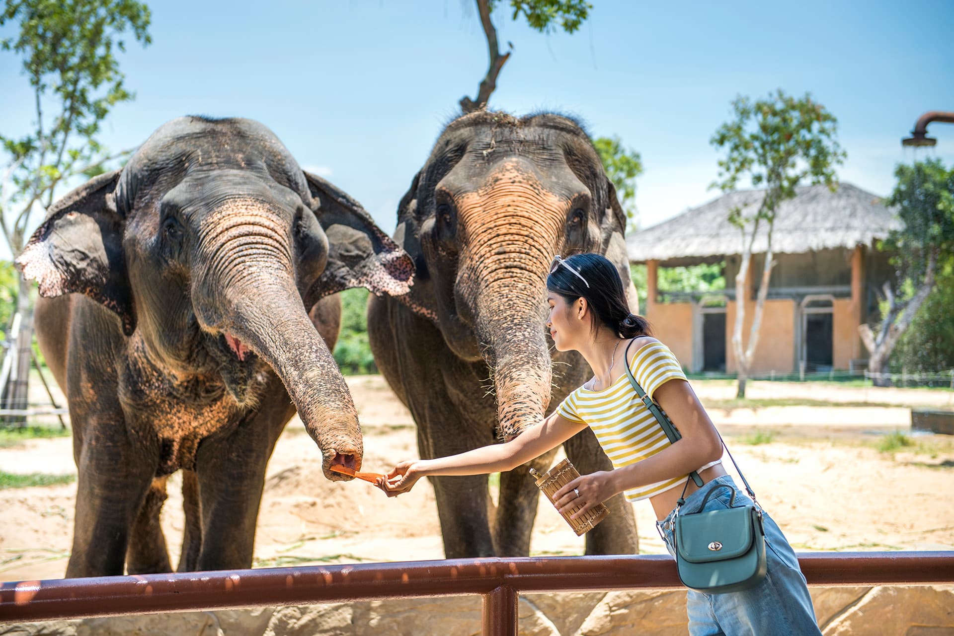 Entrada al parque de diversiones VinWonders Nam Hoi An - imagen 10