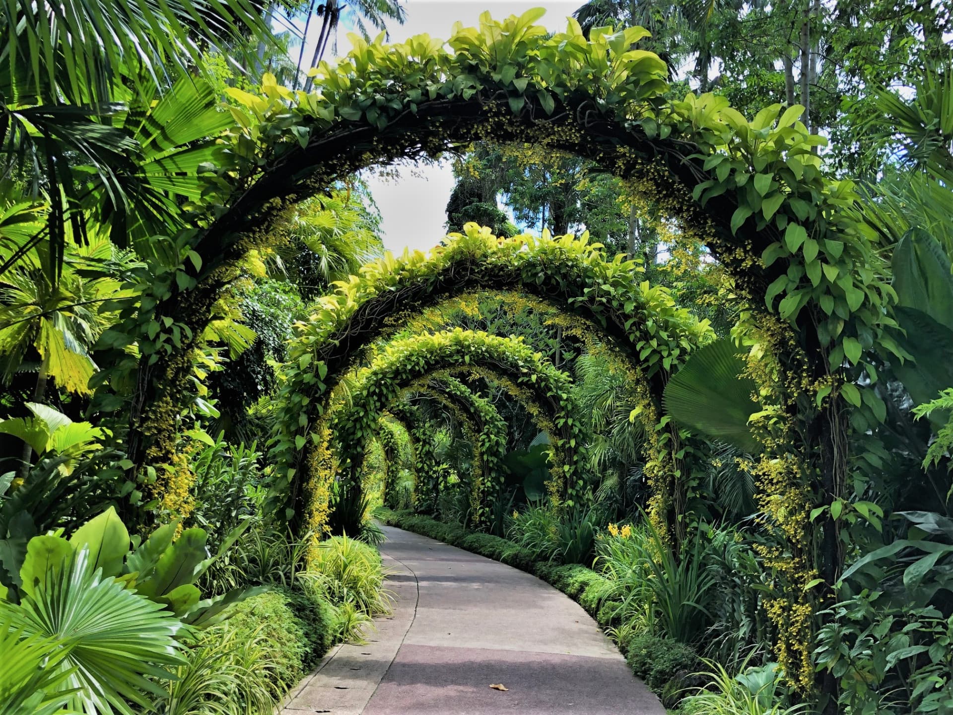 COMBO: Gardens by the Bay - Floral Fantasy + National Orchid Garden - image 7