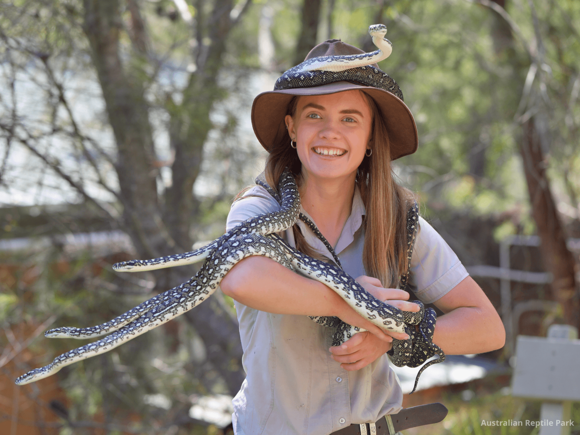 Australian Reptile Park - image 5