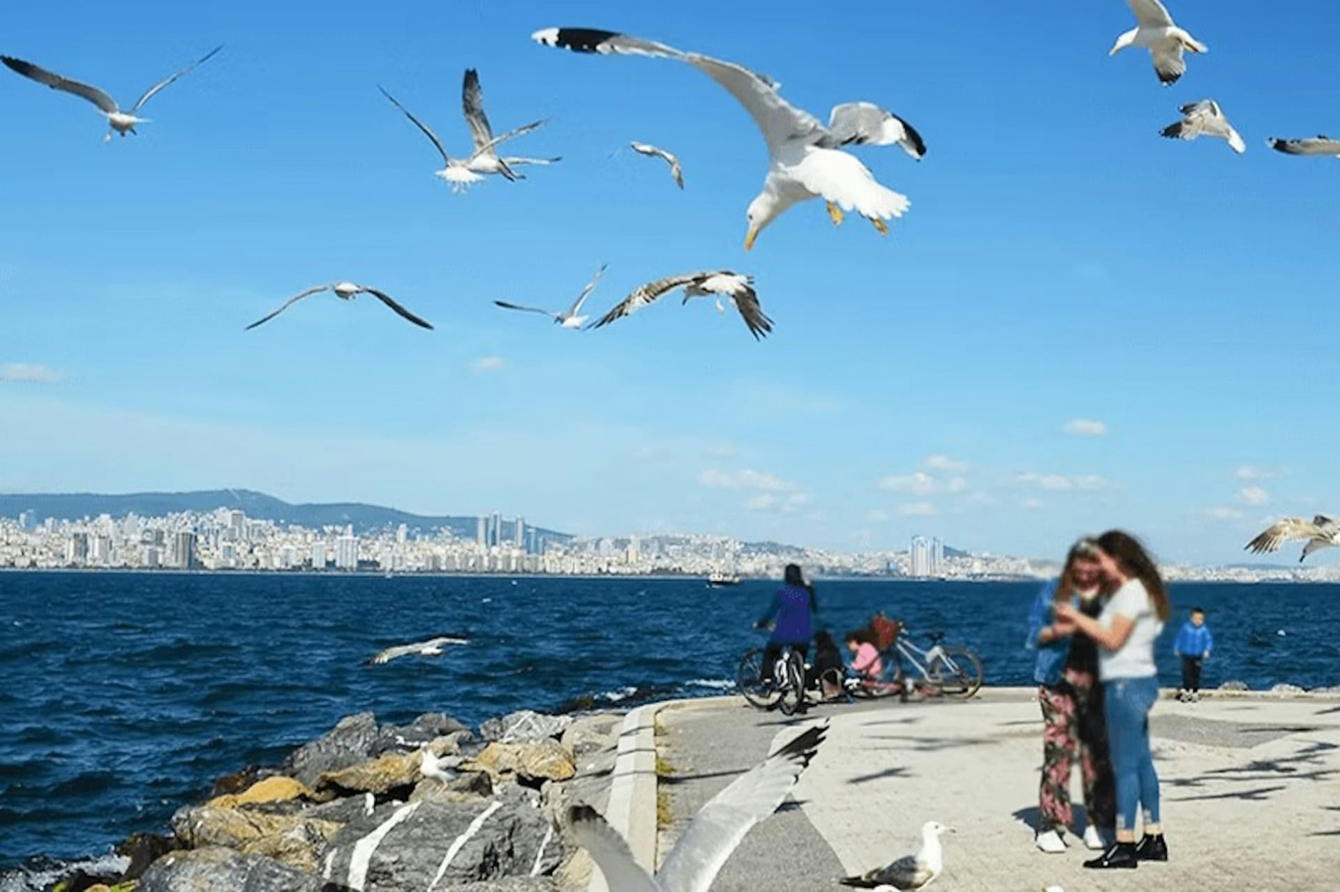 Istanbul Princes' Islands Roundtrip Ferry - image 2