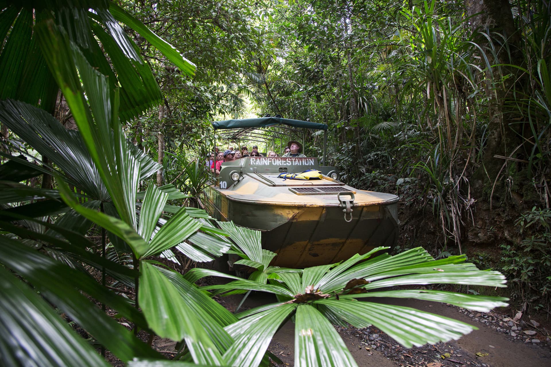 Kuranda Rainforestation Nature Park Full-Day Tour from Cairns - image 5