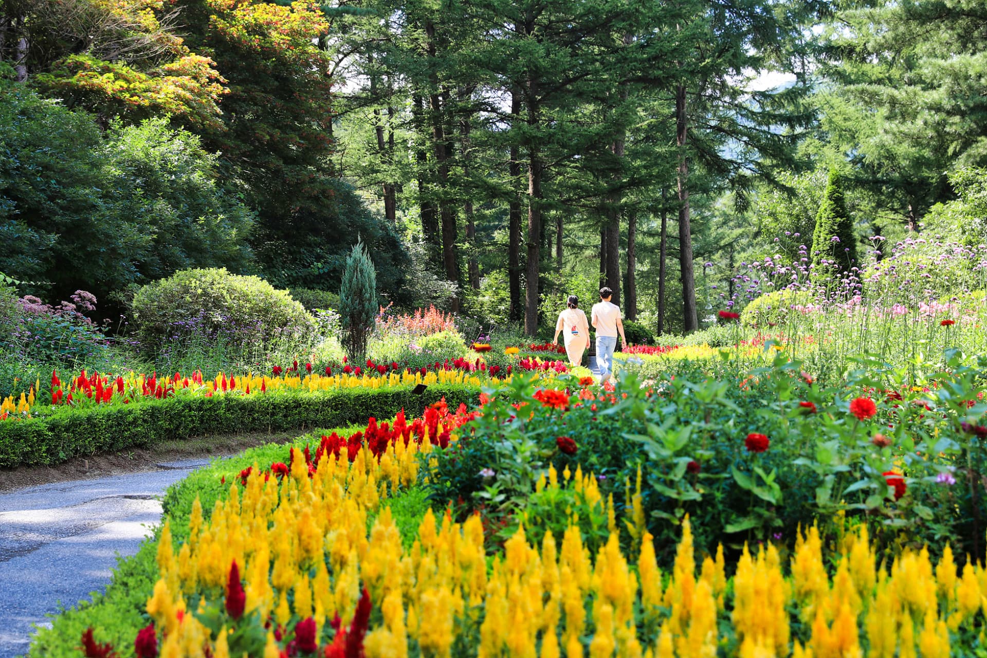 Nami Island, Mount Seorak, and Garden of Morning Calm Full-Day Tour from Seoul - 이미지 29