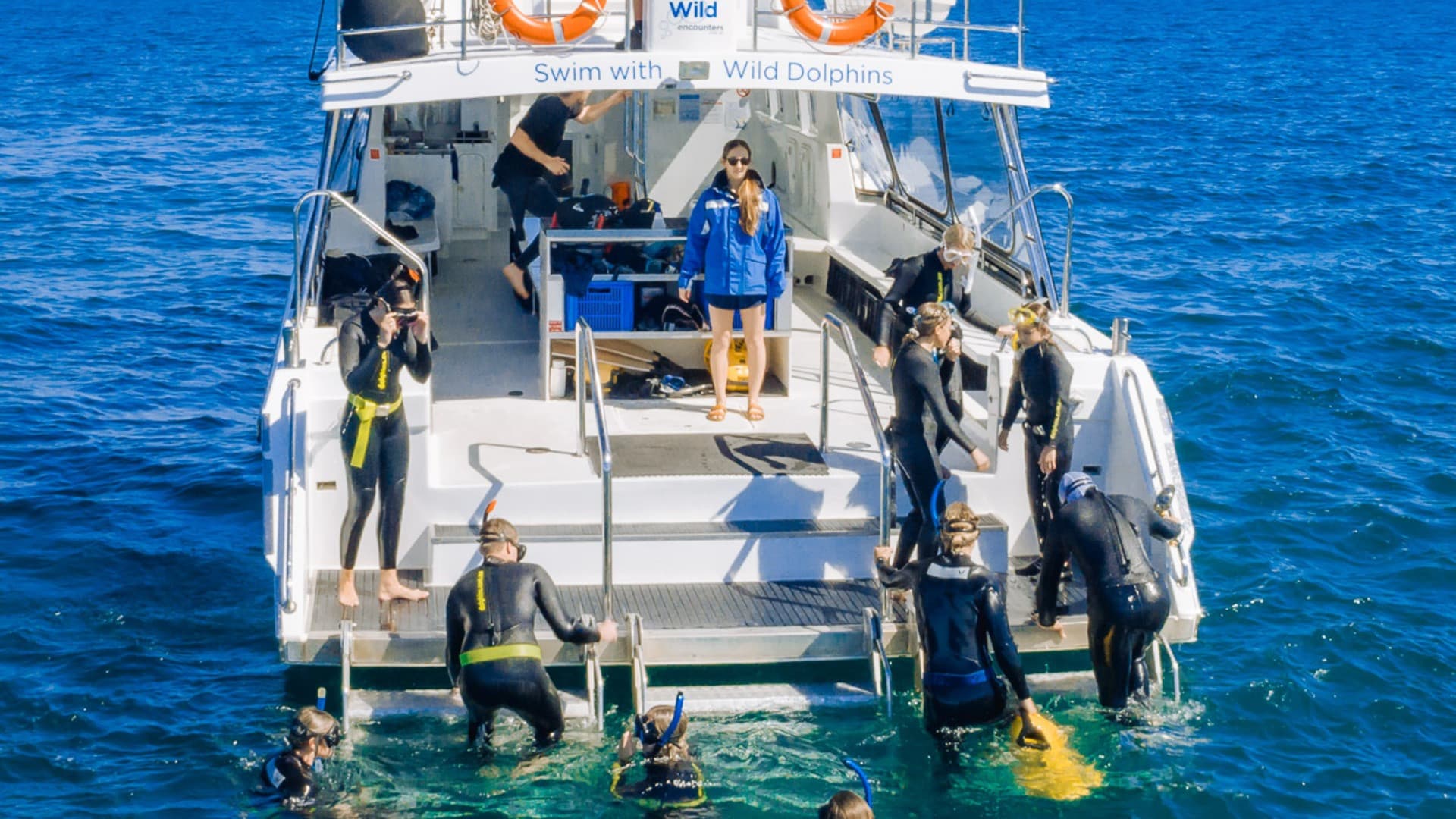 Swim with Wild Dolphins Experience at Rockingham - image 3