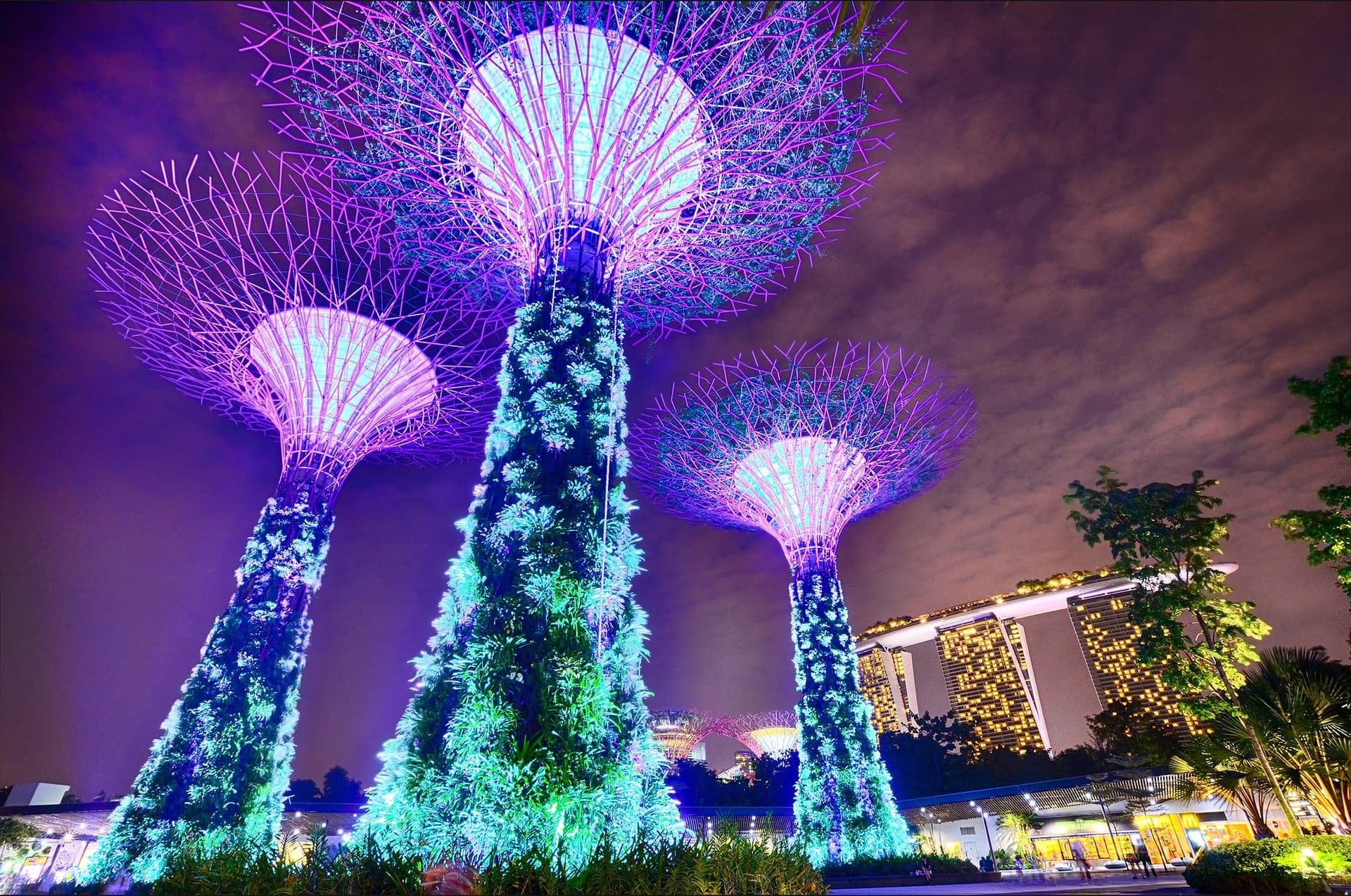 COMBO: Singapore Cable Car + Gardens by the Bay Ticket - image 10