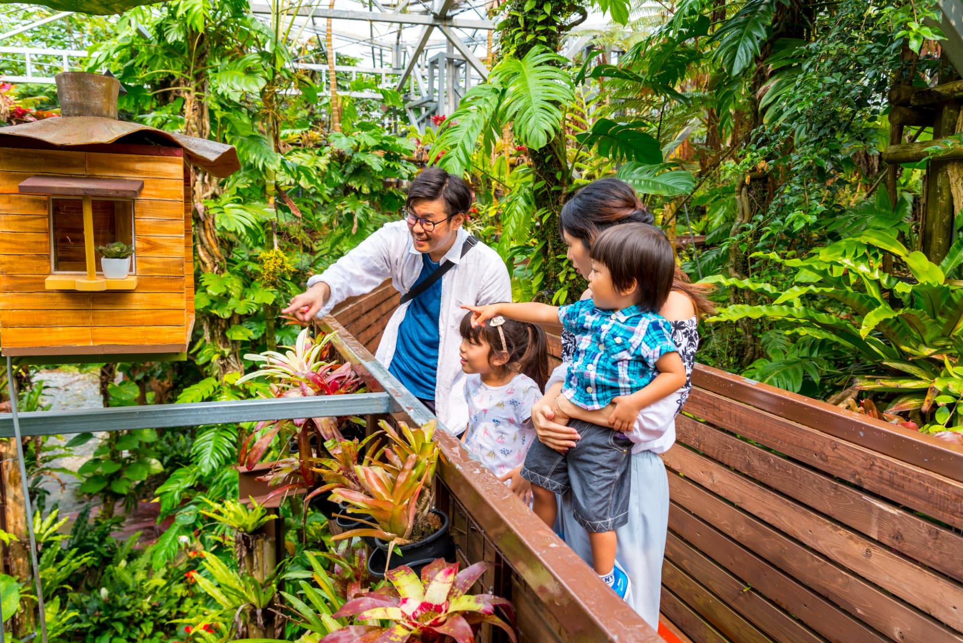 Okinawa Nago Pineapple Park - image 8