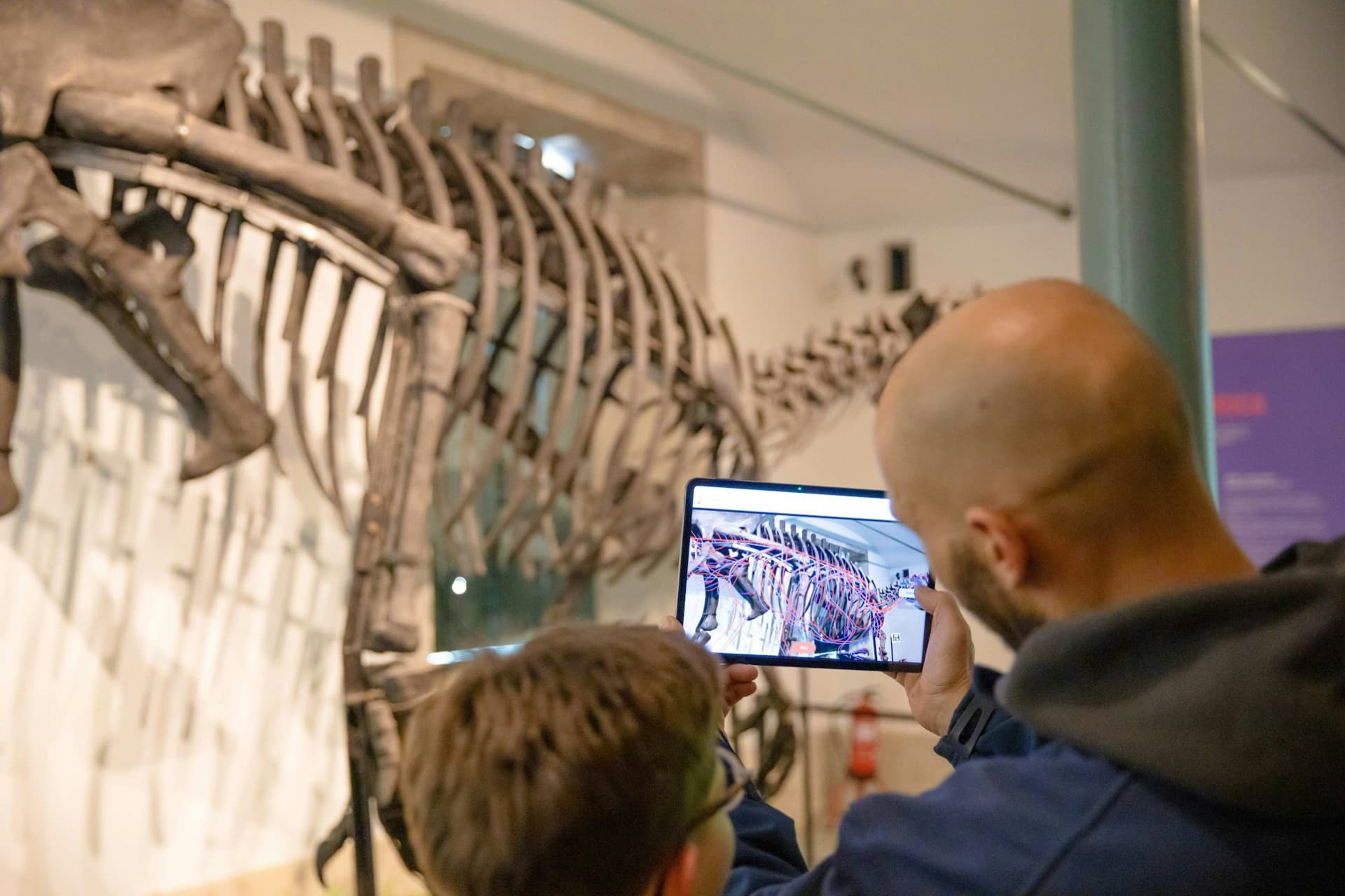Dino Experience Porto Ticket - image 9