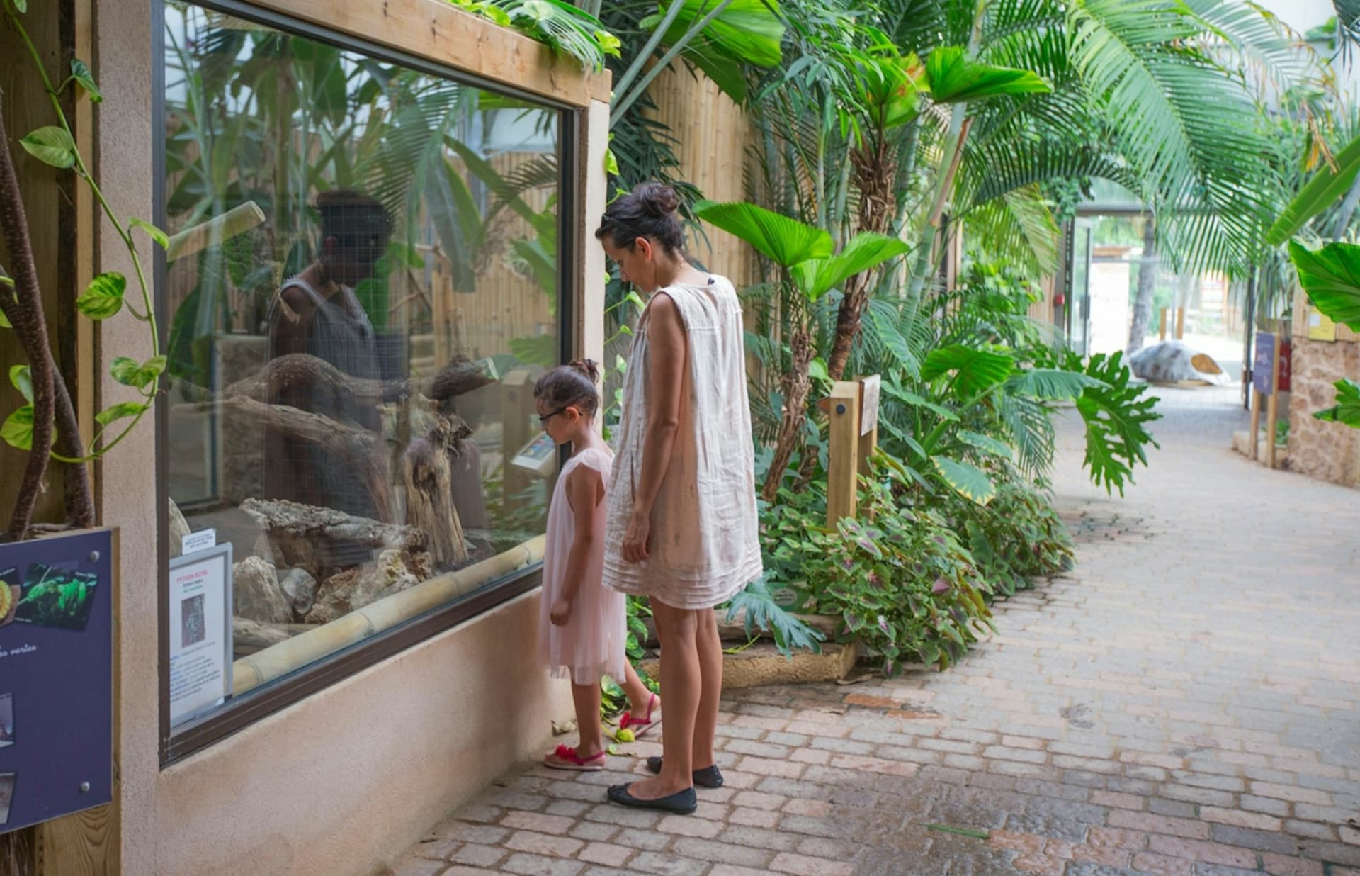 Safari de Peaugres: Entry Ticket - image 5