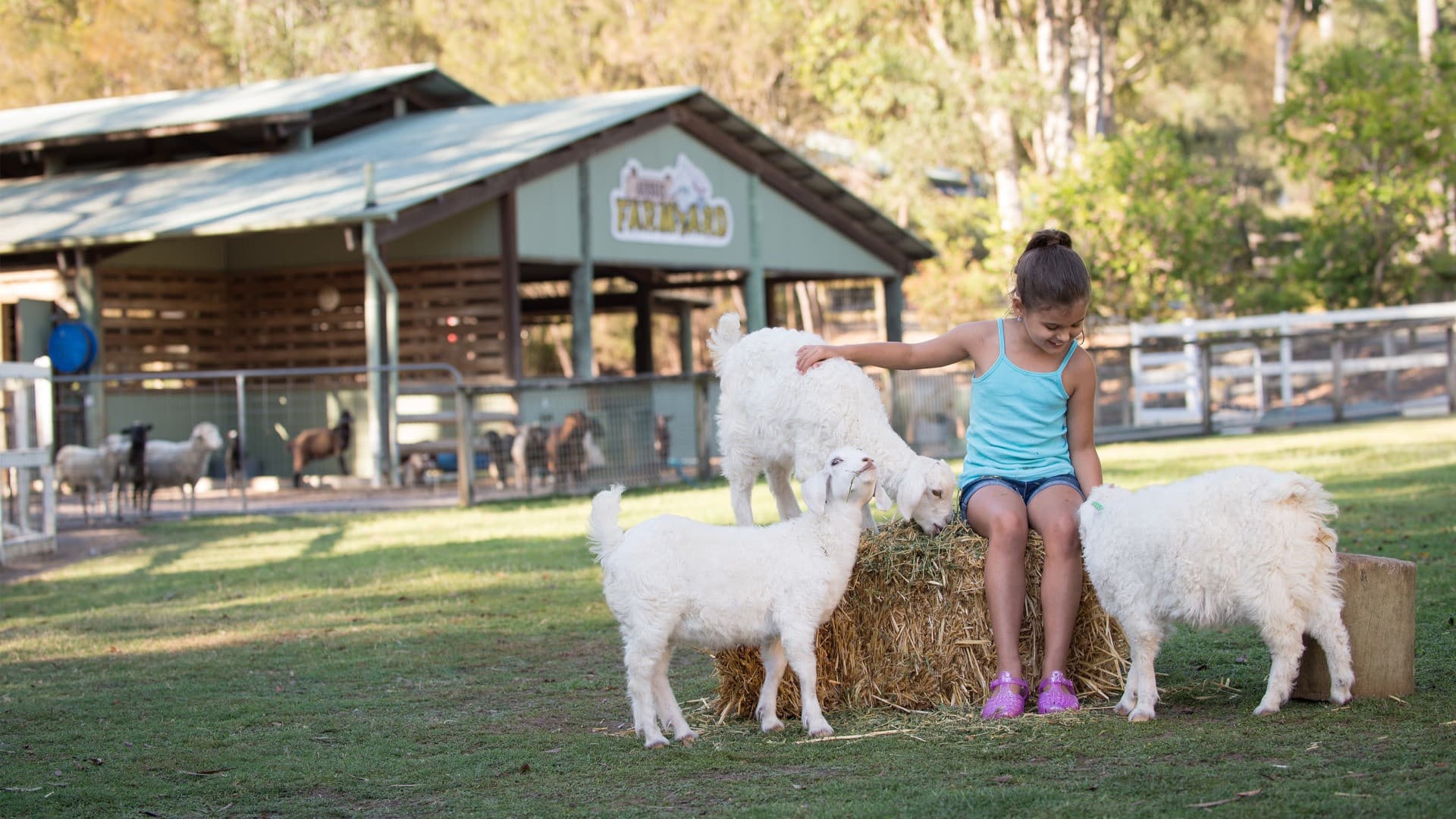 Paradise Country Farm Ticket - image 5