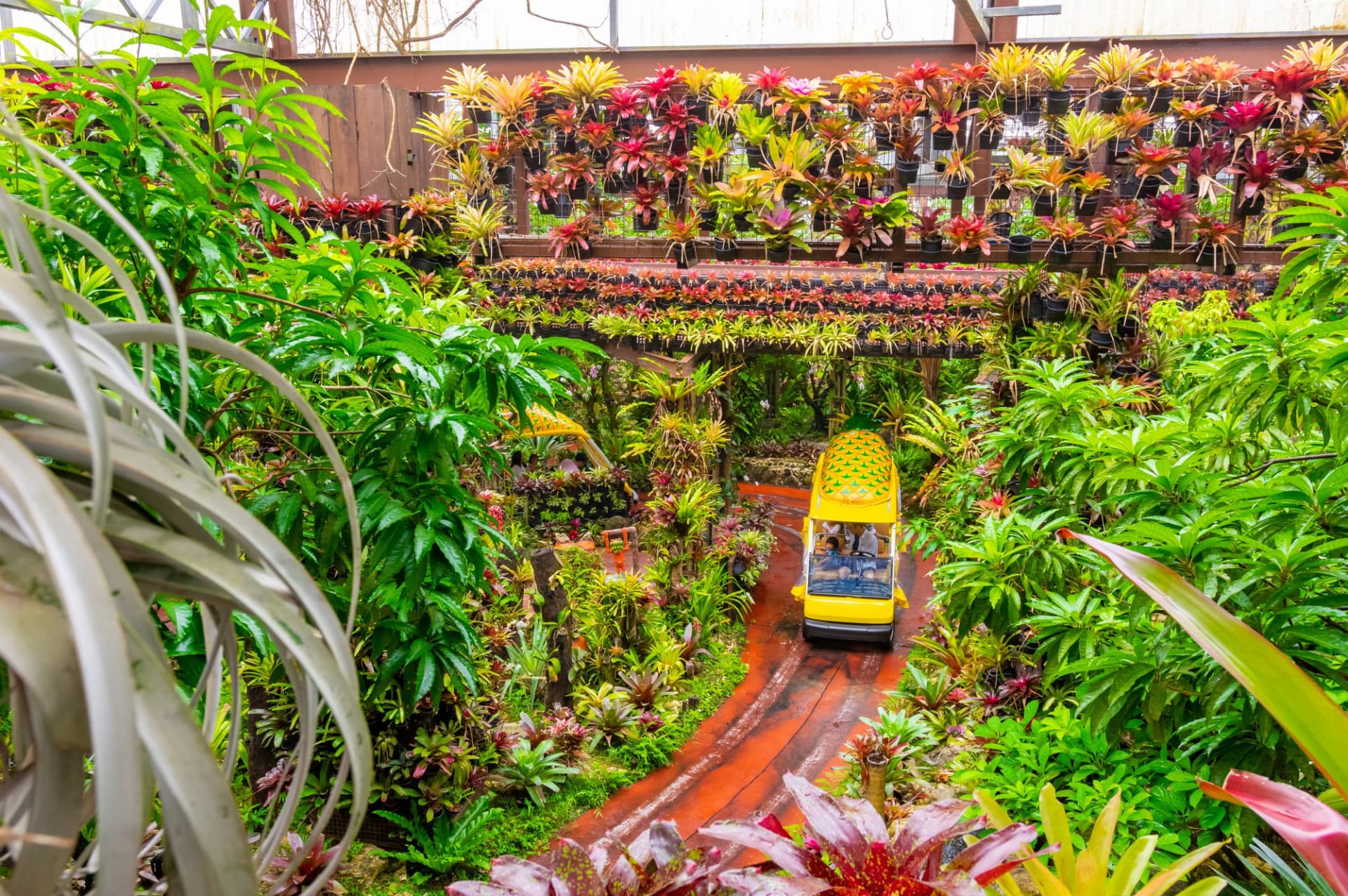 Okinawa Nago Pineapple Park - image 3