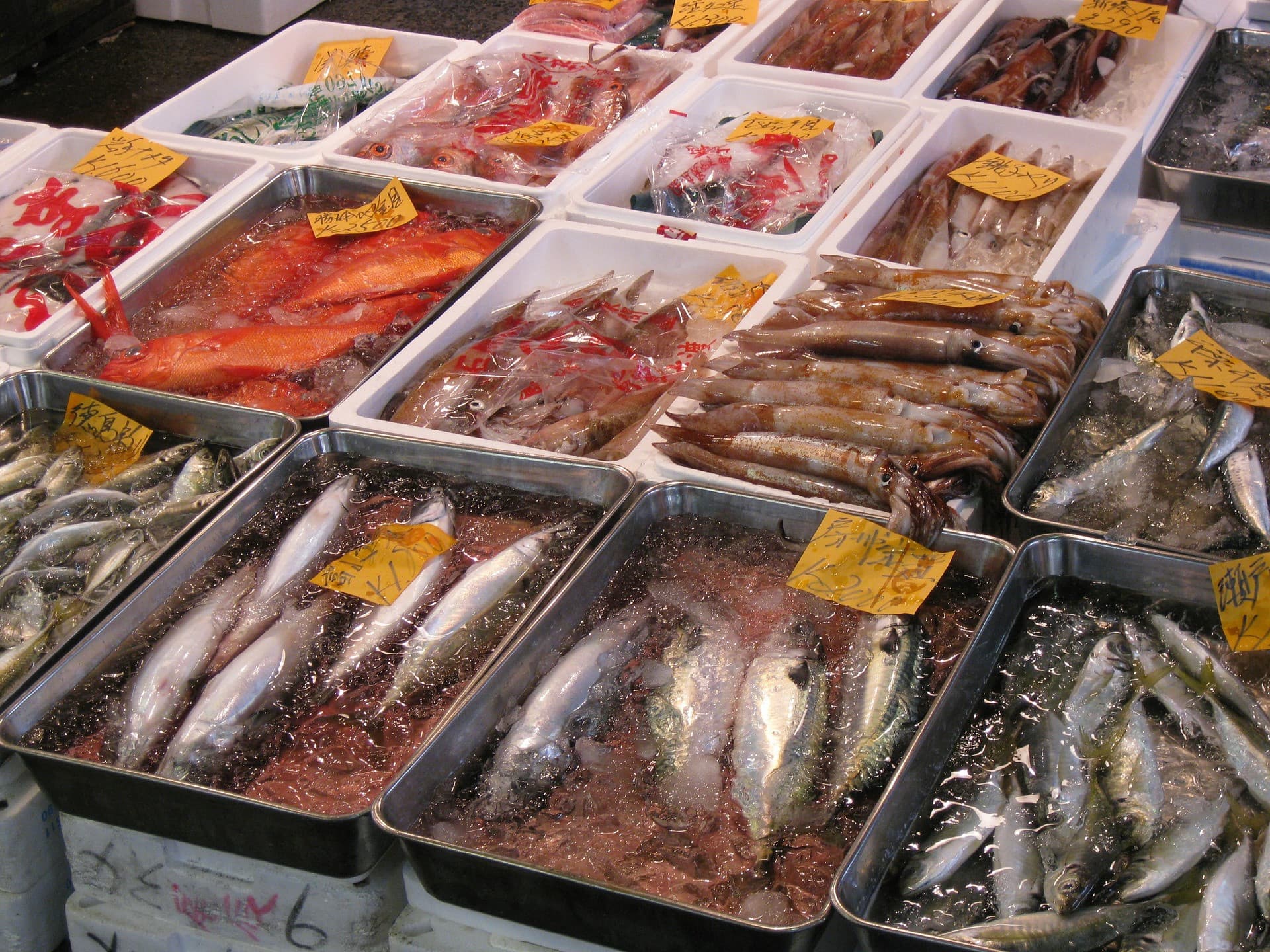 Tsukiji Outer Market Breakfast Tour - image 2