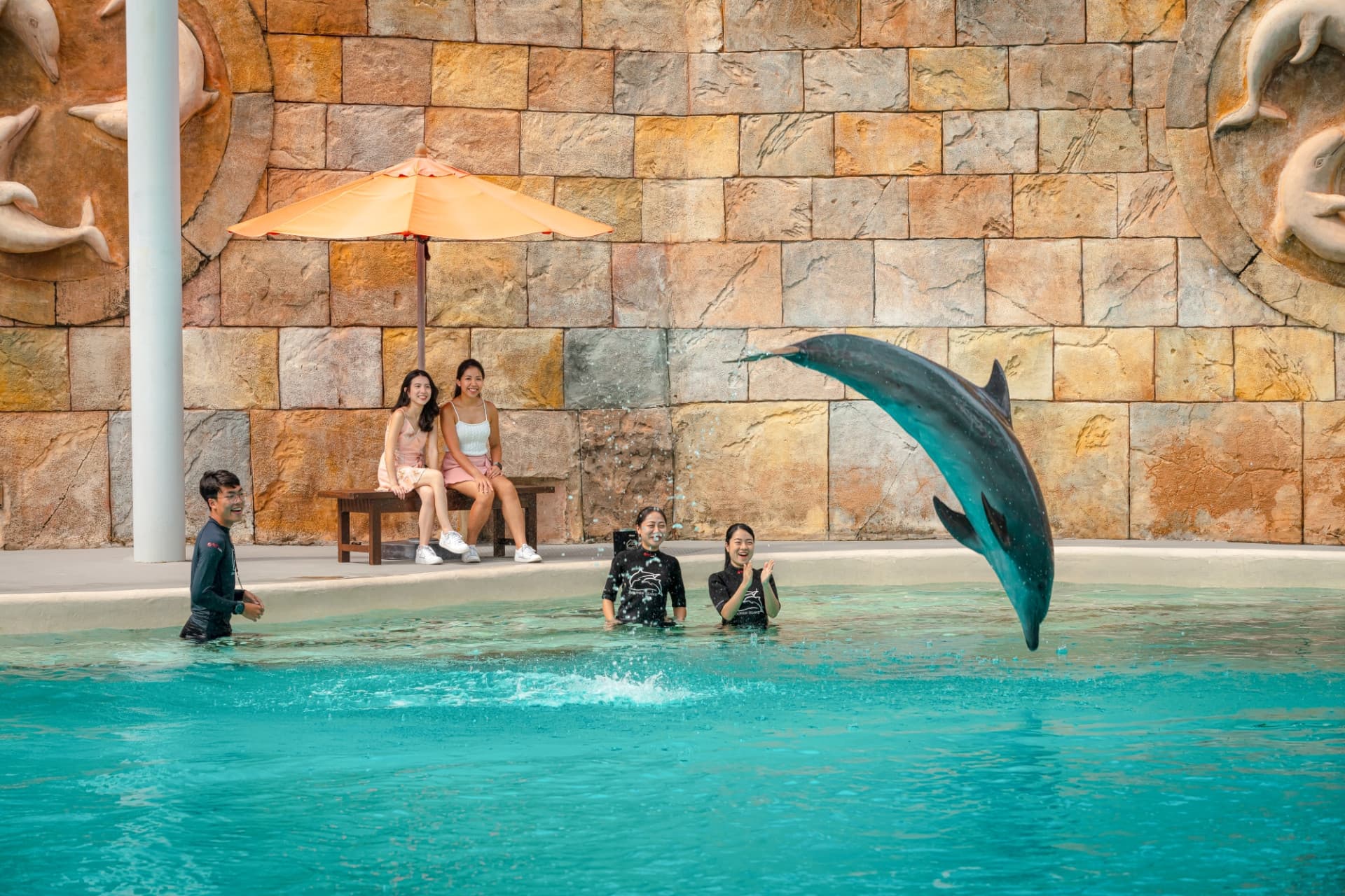 Experiencias con delfines en Marine Mammal Habitat Sentosa - imagen 6