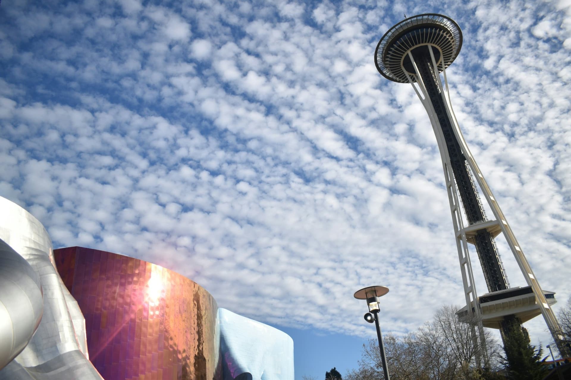 Seattle Center y Space Needle: tour a pie guiado - imagen principal