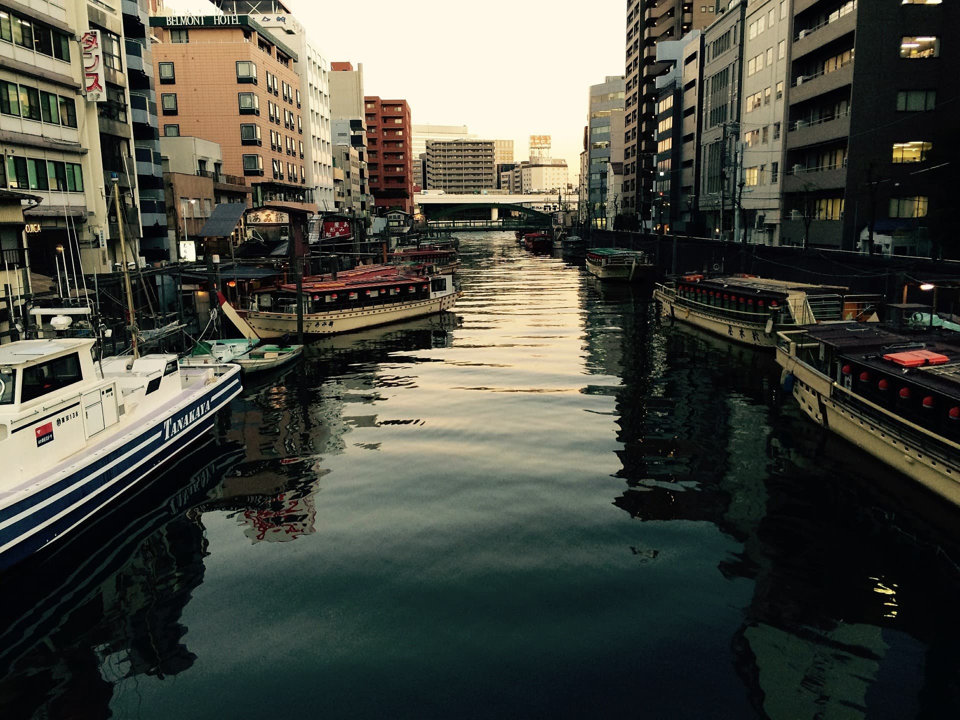 Tokyo Family Food Tour in Asakusa and Sensoji - image 15