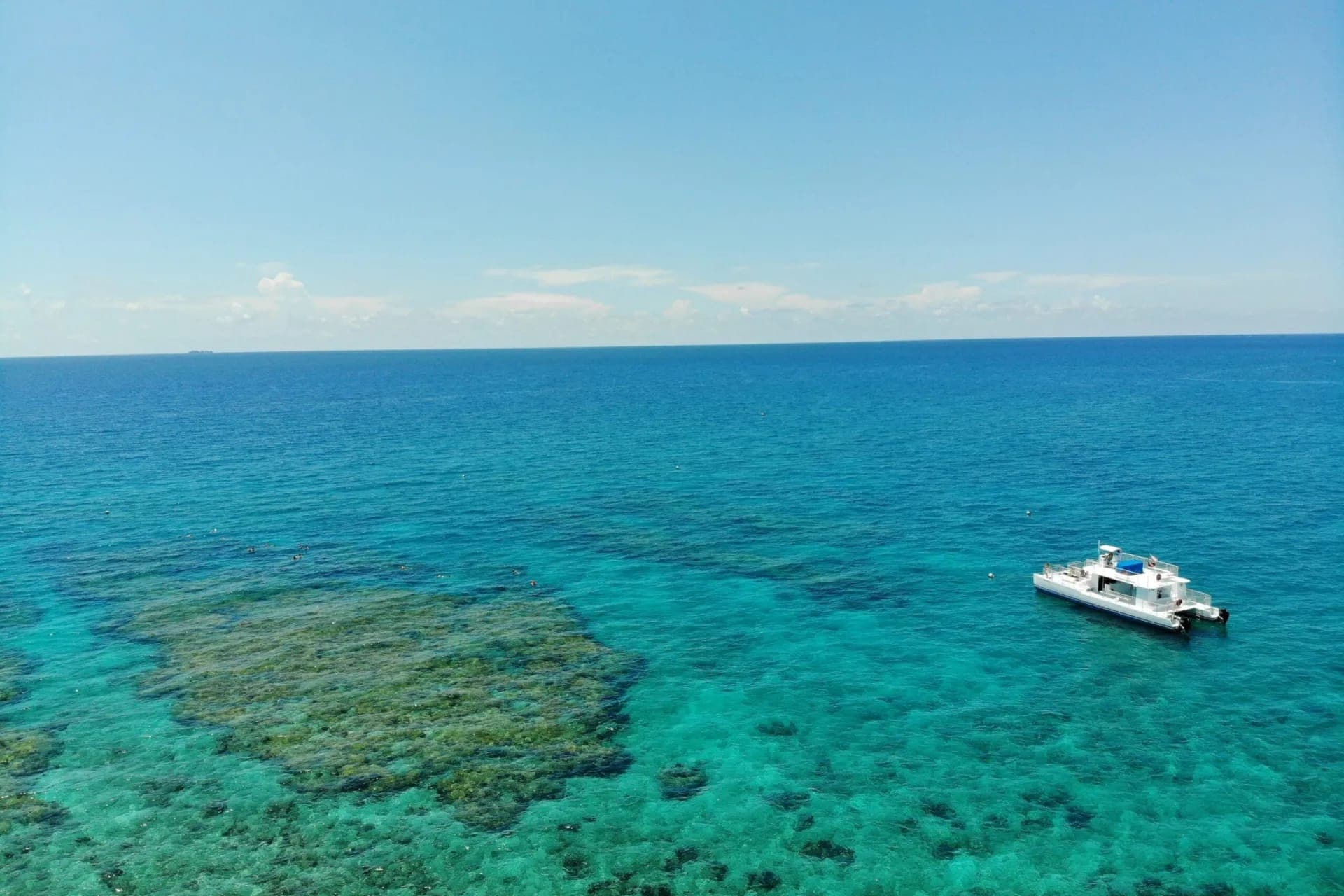 Key West: Dolphin Watching Cruise + Snorkeling + Drinks - image 3