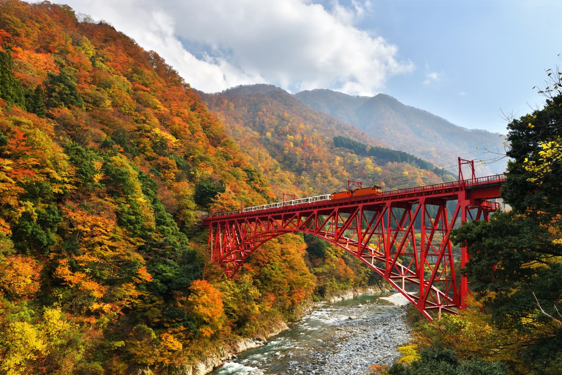 Boleto de tren de Kurobe Gorge - imagen 2