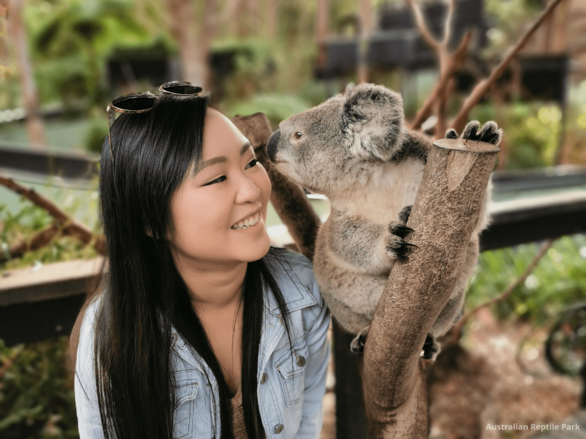 Australian Reptile Park - image 25