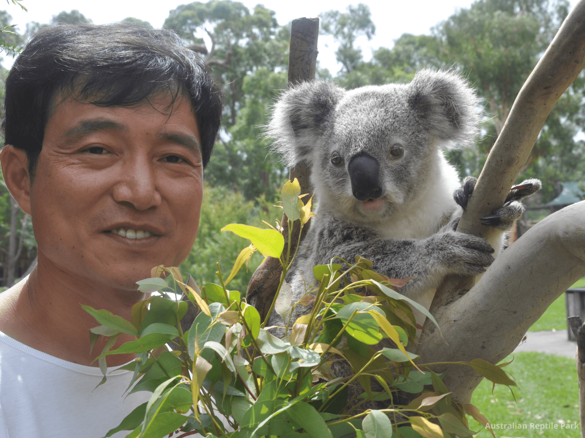 Australian Reptile Park - image 20