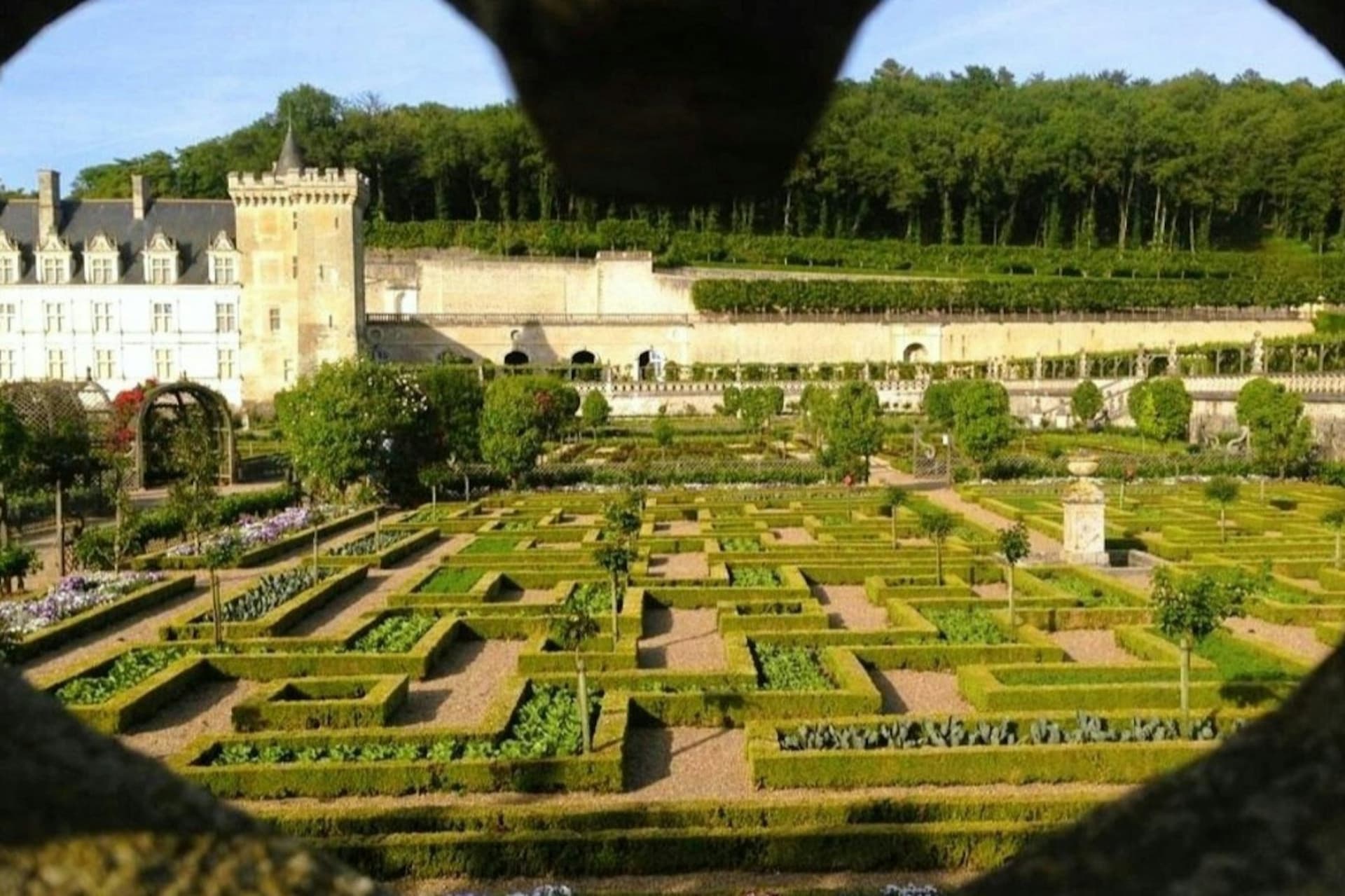 Chateau d'Azay-le-Rideau & Gardens of Villandry: Guided Trip from Tours - image 3