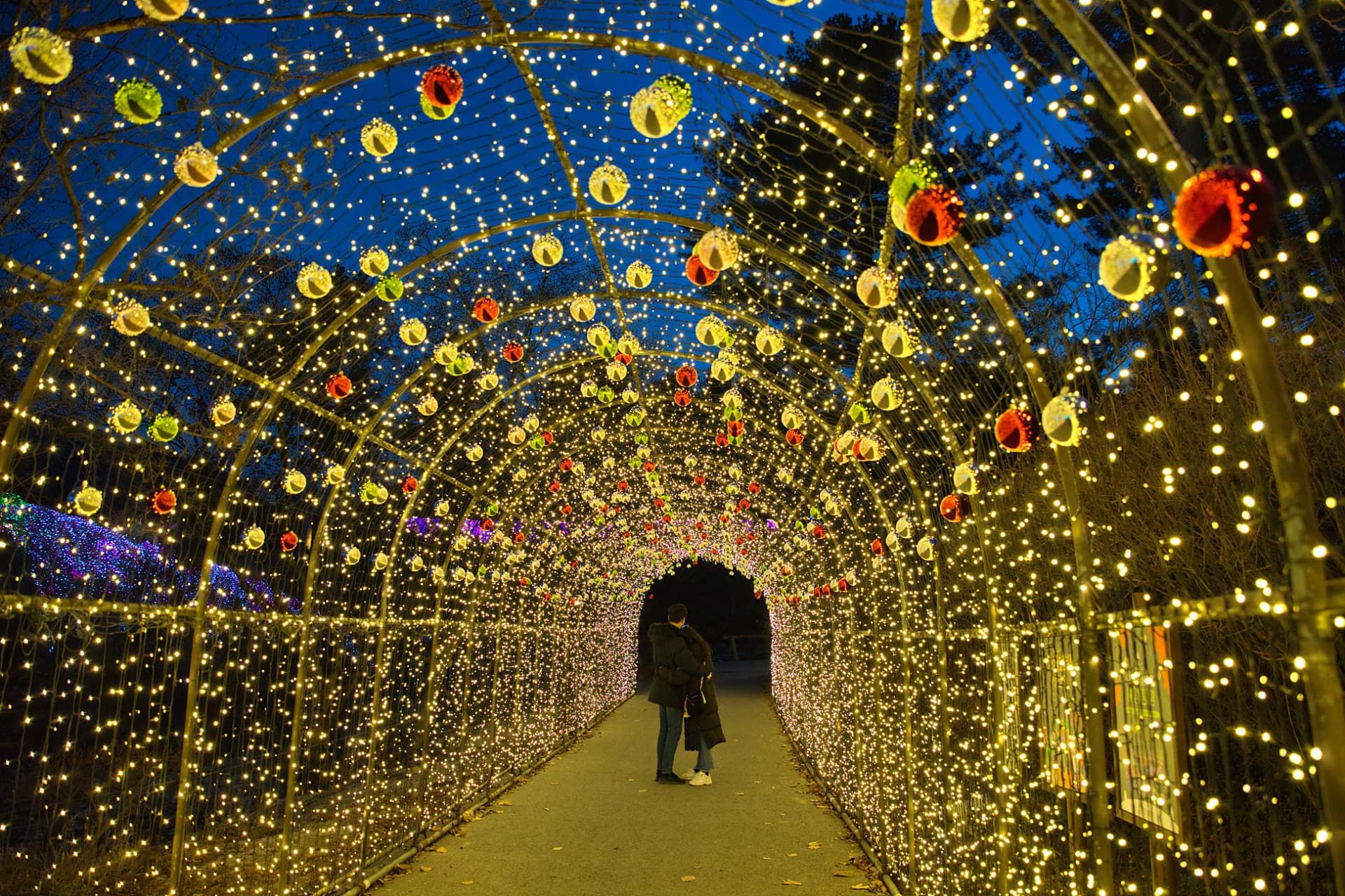 Nami Island, Mount Seorak, and Garden of Morning Calm Full-Day Tour from Seoul - 이미지 10
