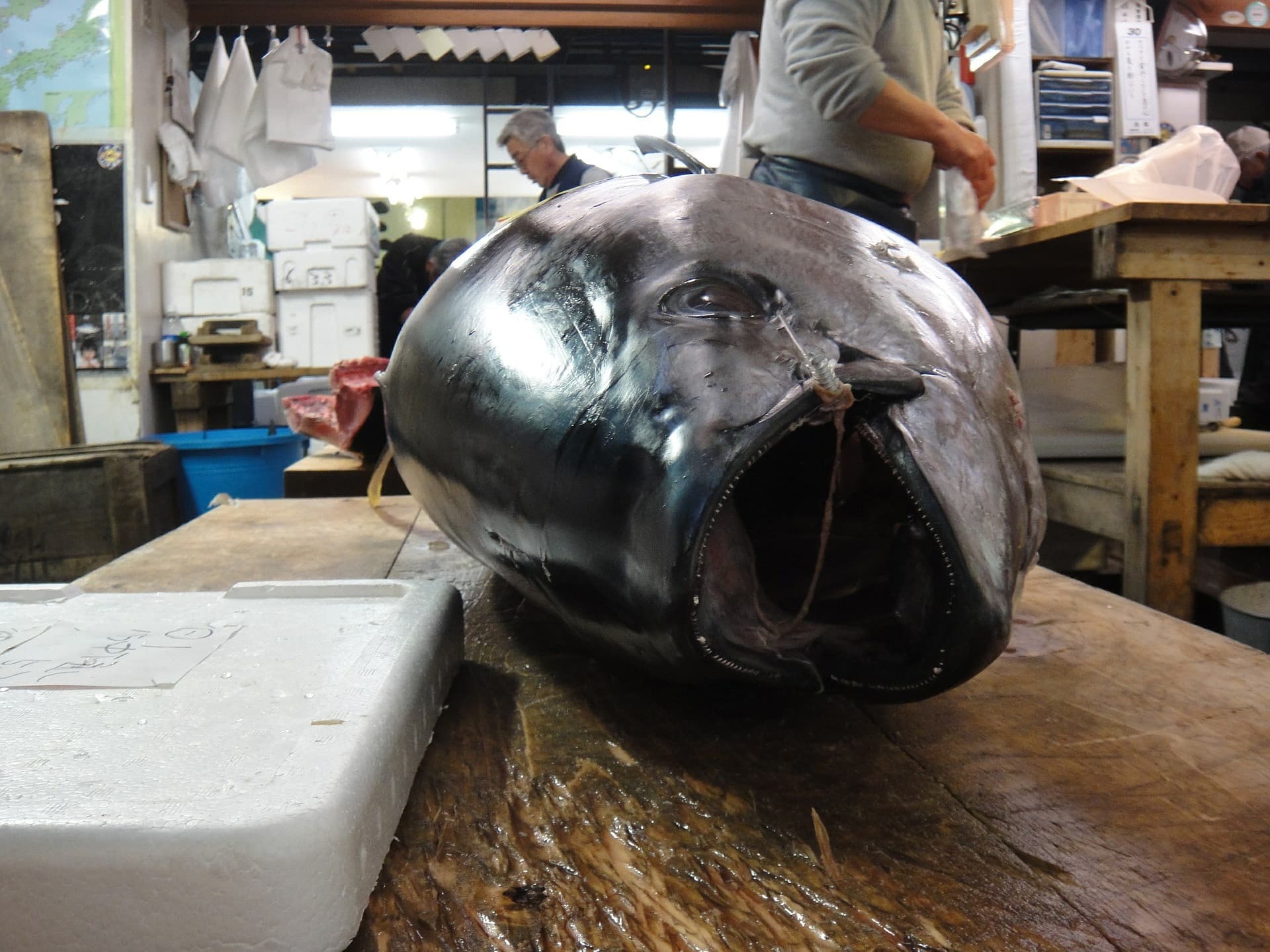 Tsukiji Outer Market Breakfast Tour - image 4
