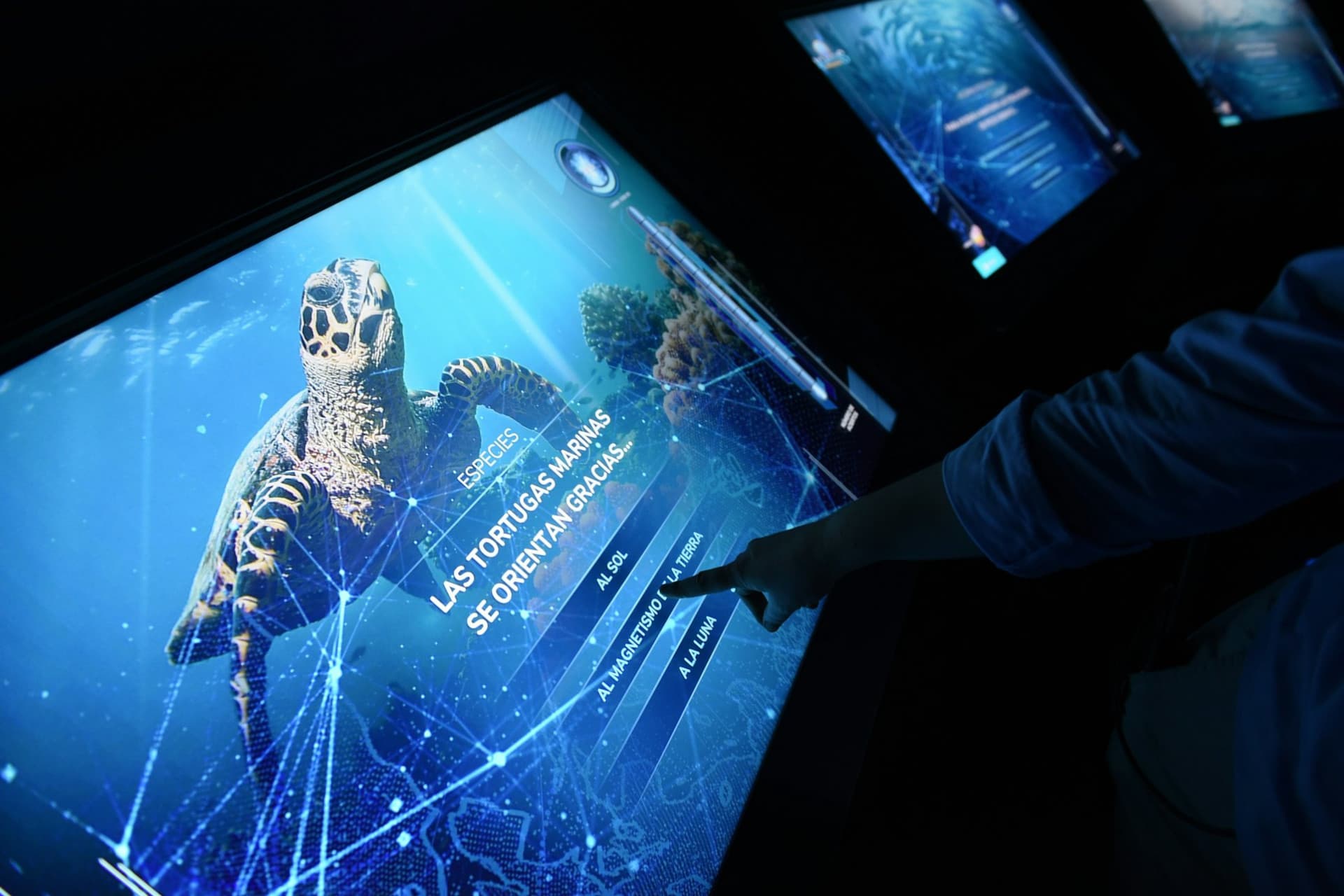 Atlantis Aquarium Madrid Ticket - image 7
